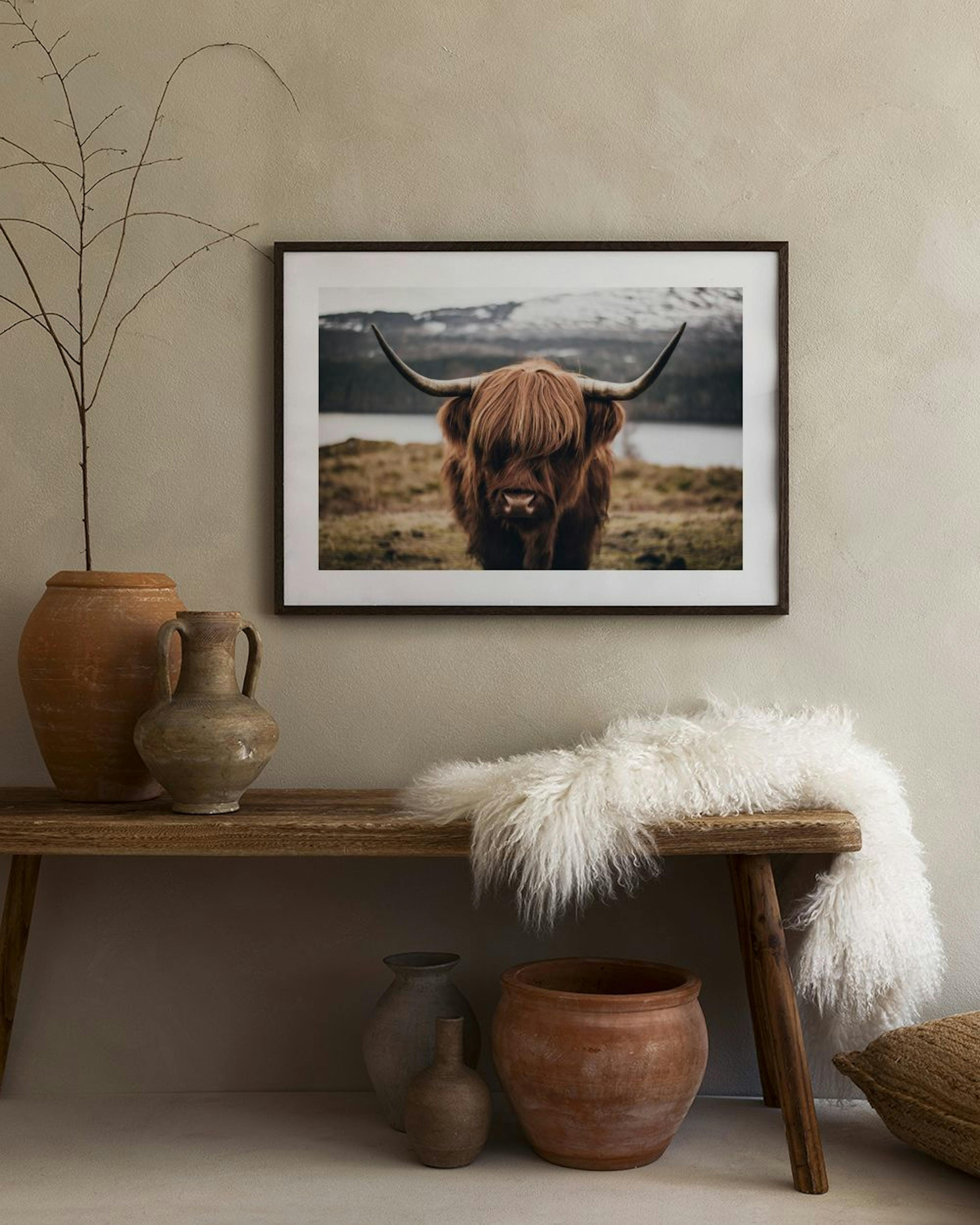 A print of a Highland cow with long horns and shaggy brown hair, hanging above a leather butterfly chair with a white fur throw.