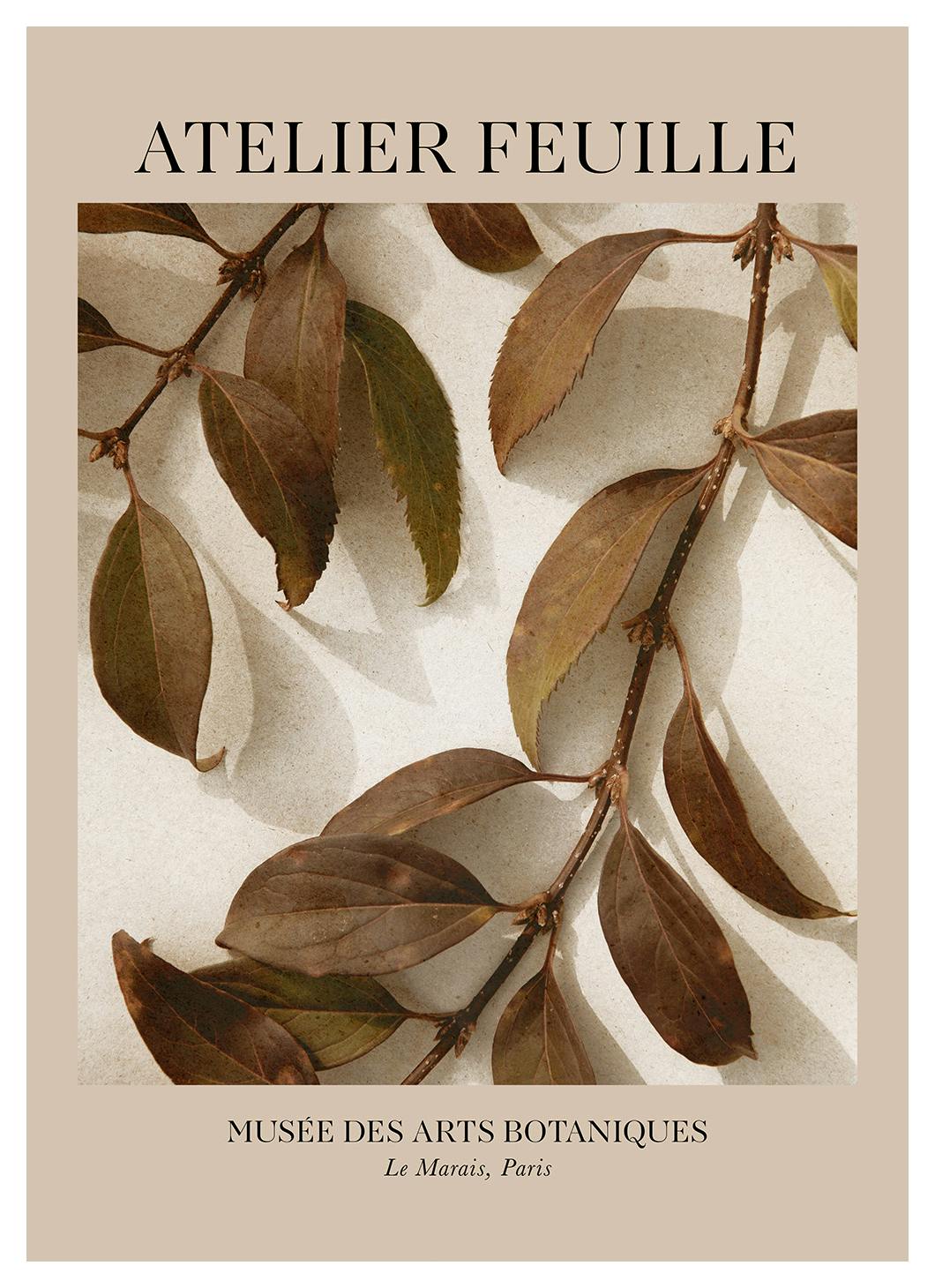 Prints - Atelier Feuille No1 Print (50x70 cm) - Botanical prints