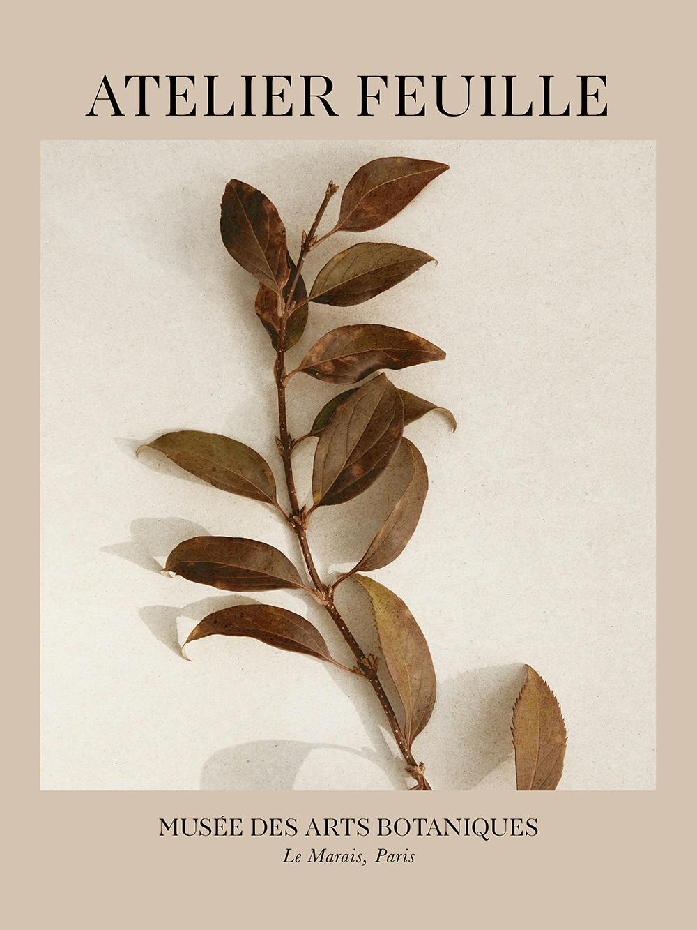 En poster som visar en brun gren med blad på en ljusbrun bakgrund. Texten Atelier Feuille och Musée des Arts Botaniques Le Marai