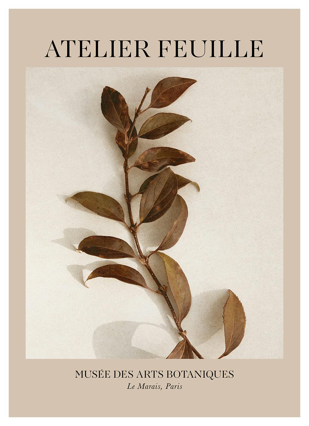 Atelier Feuille No2 Plakat (30x40 cm) - Plakater > Botaniske plakater