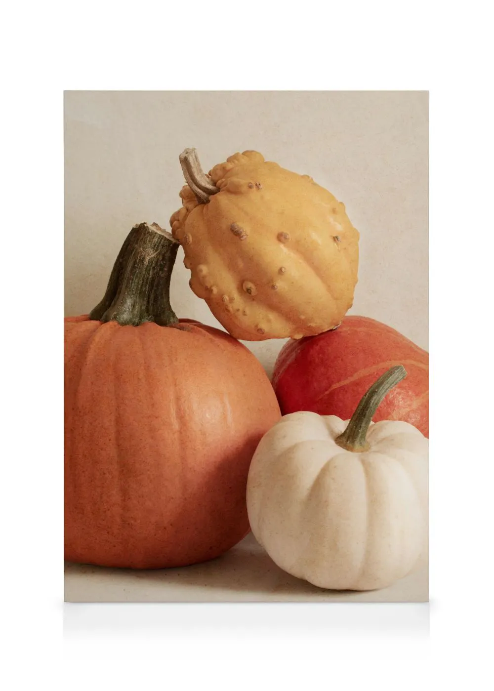 Tranh Botanical Pile of Pumpkins Canvas print