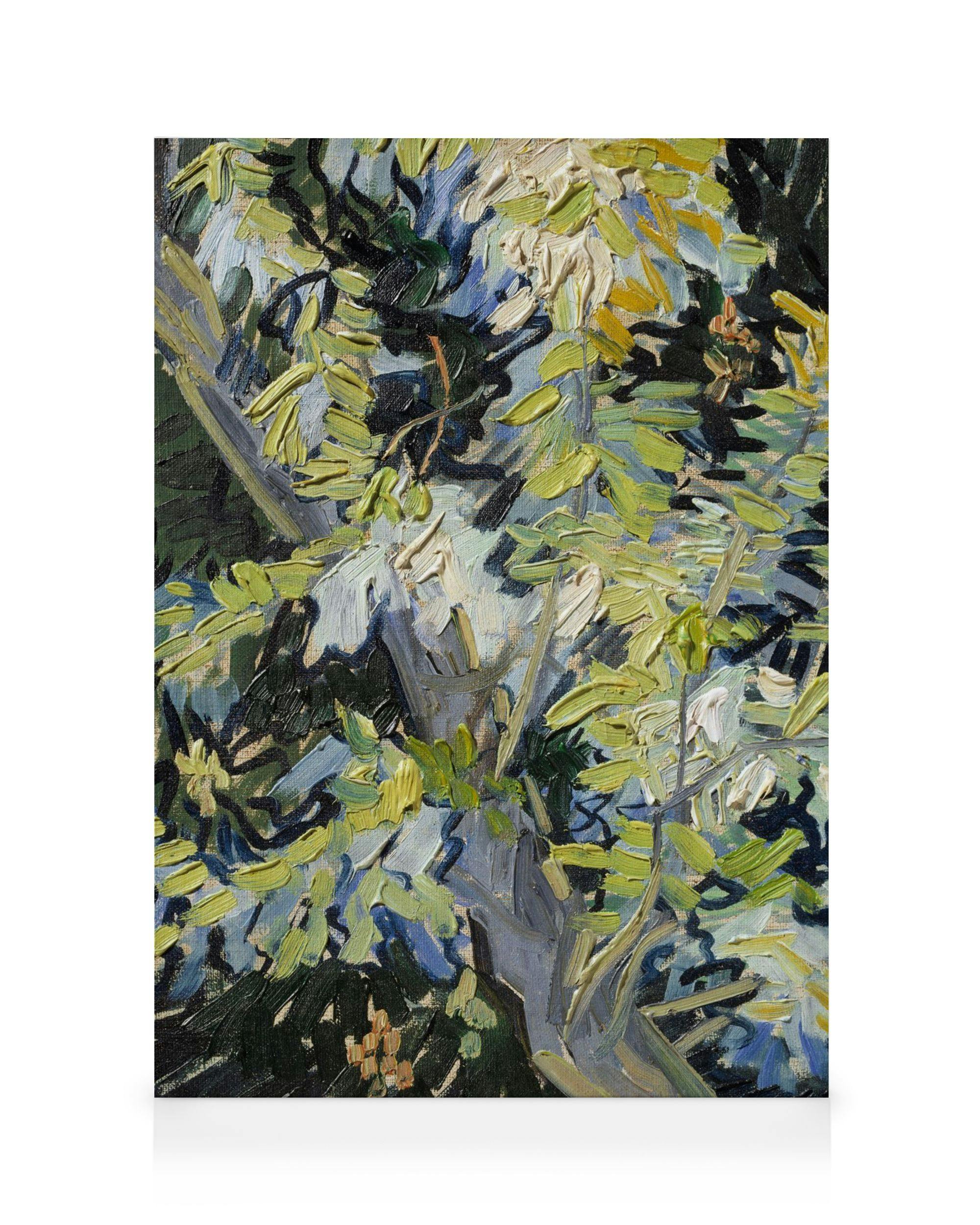 Van Gogh - Blossoming Acacia Branches Canvas (70x100 cm - Fotokaders zwart)