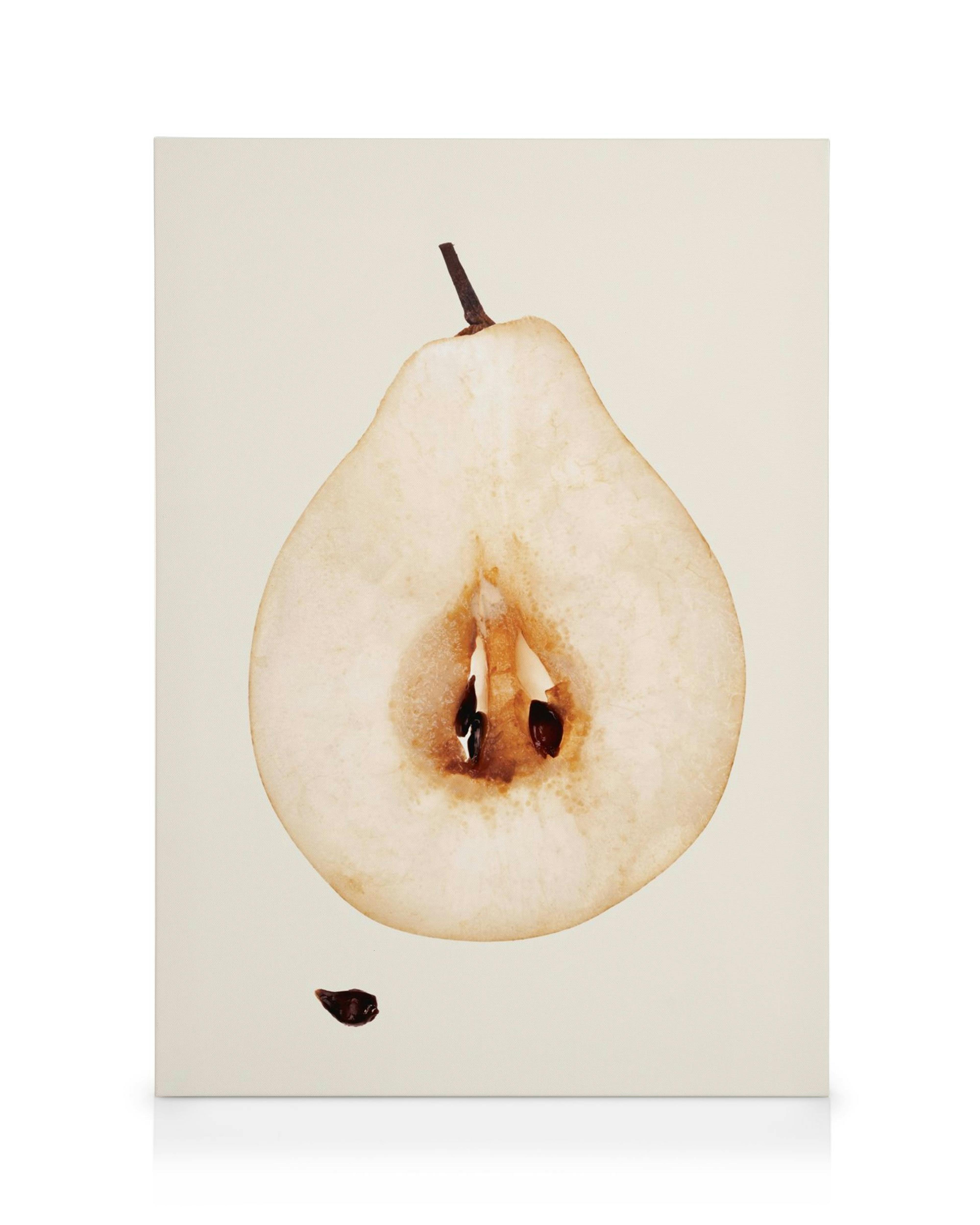 La Poire Toile 0