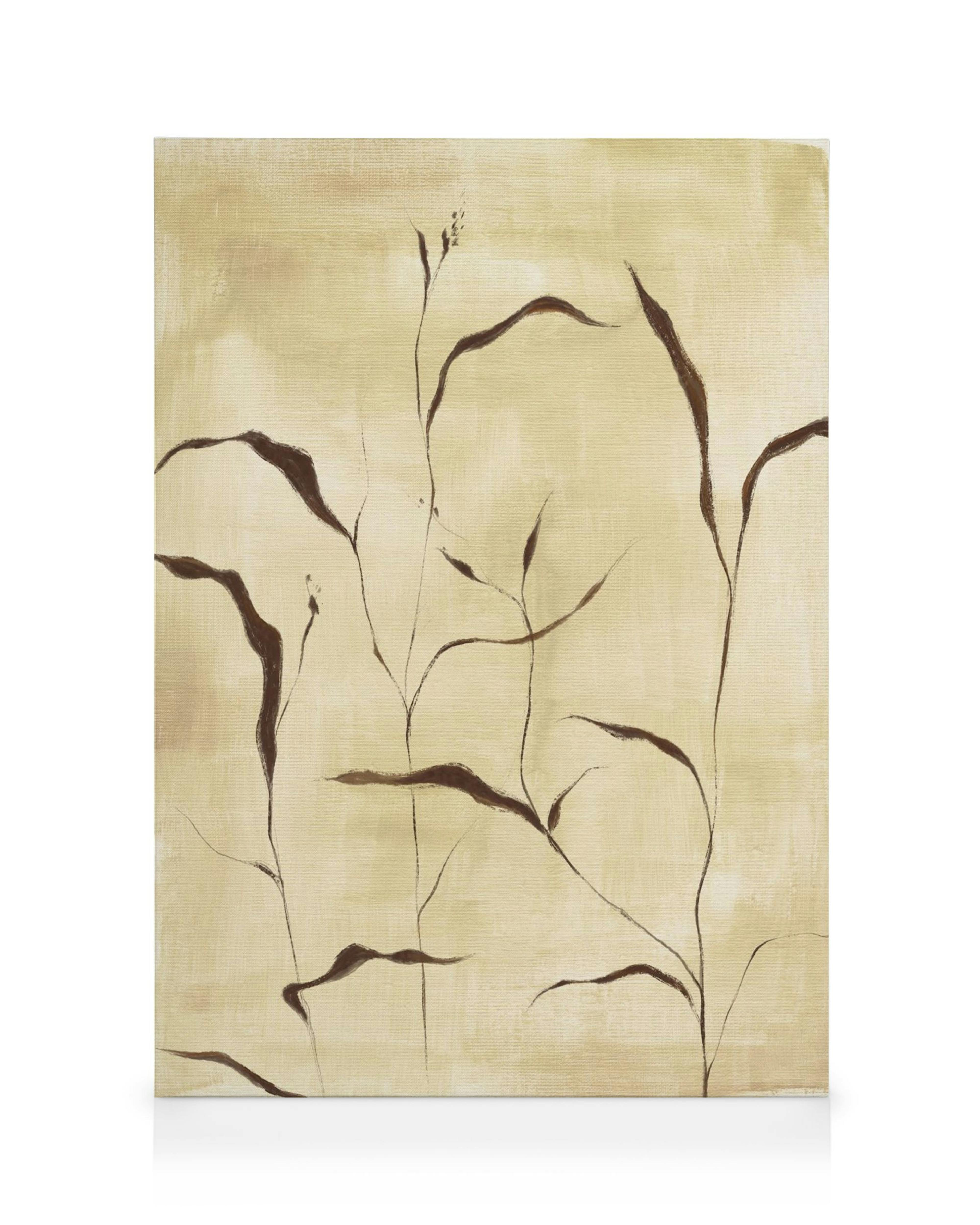 Soft Nature Toile 0
