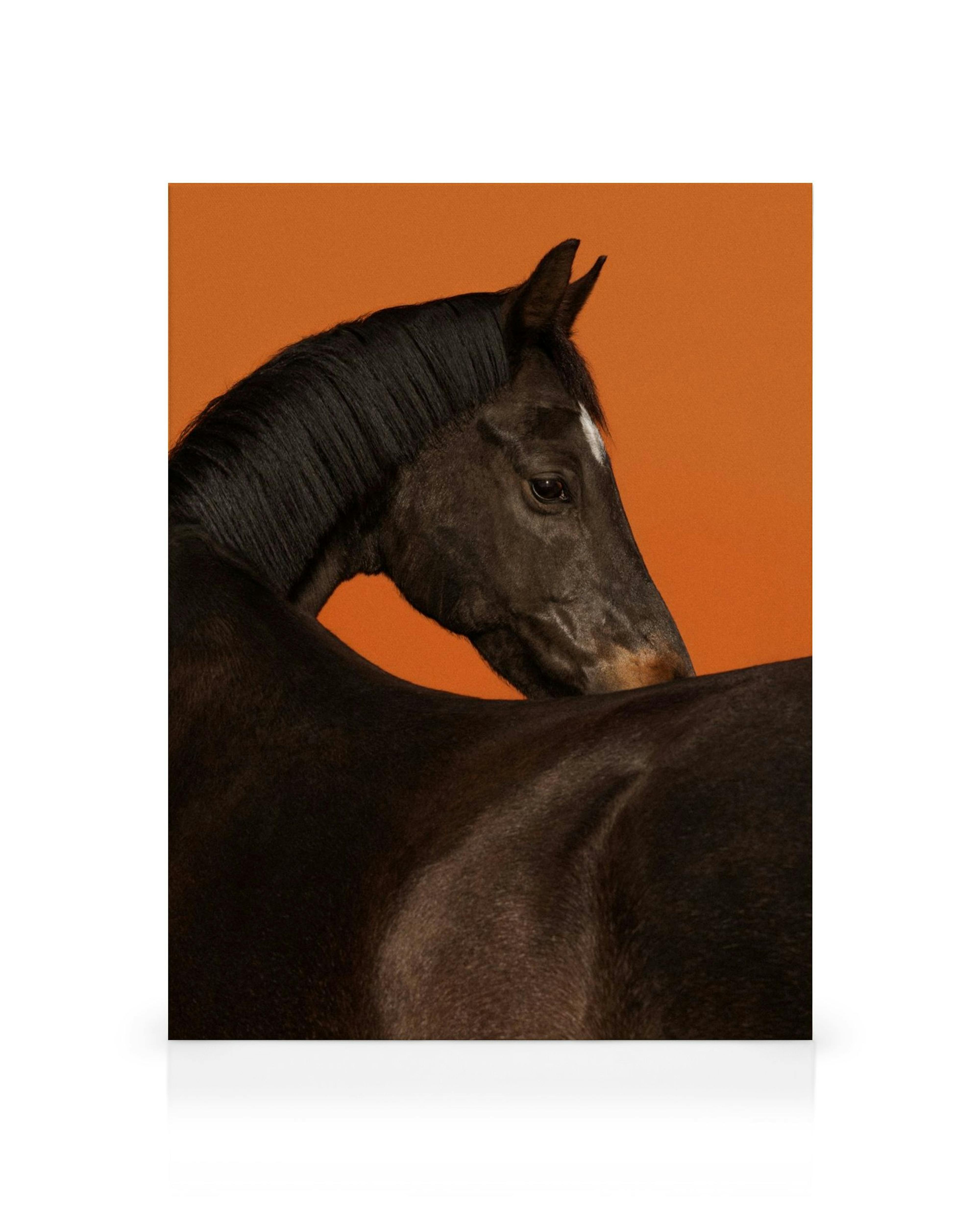 Product image: 1