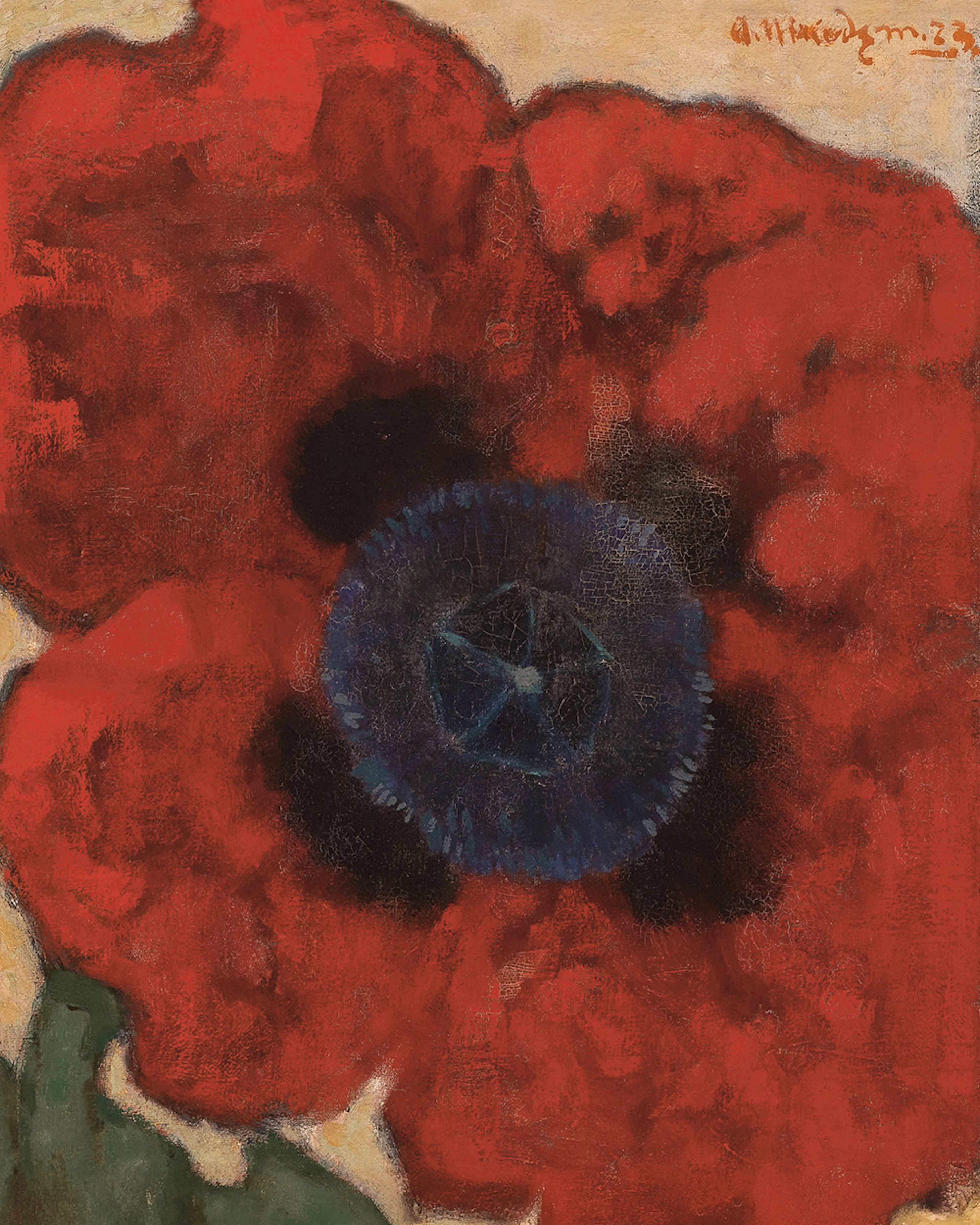 Artur Nikodem - Poppy Flower Print 0