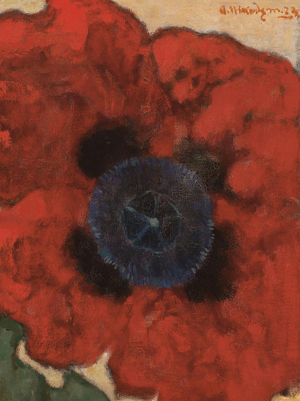Artur Nikodem - Poppy Flower Plagát 0