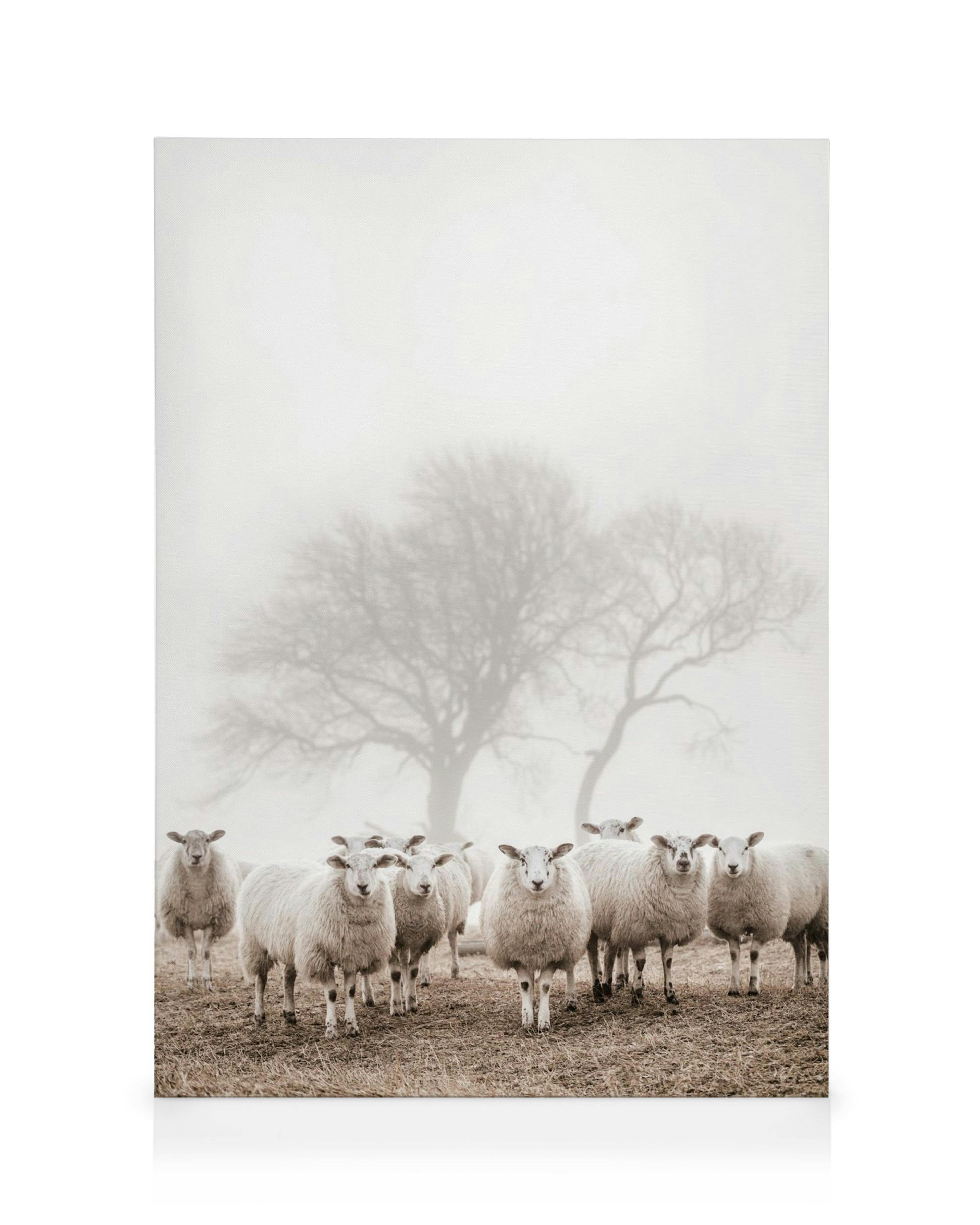 Toile de moutons dans un champ brumeux avec un arbre, tons blancs, bruns et beiges