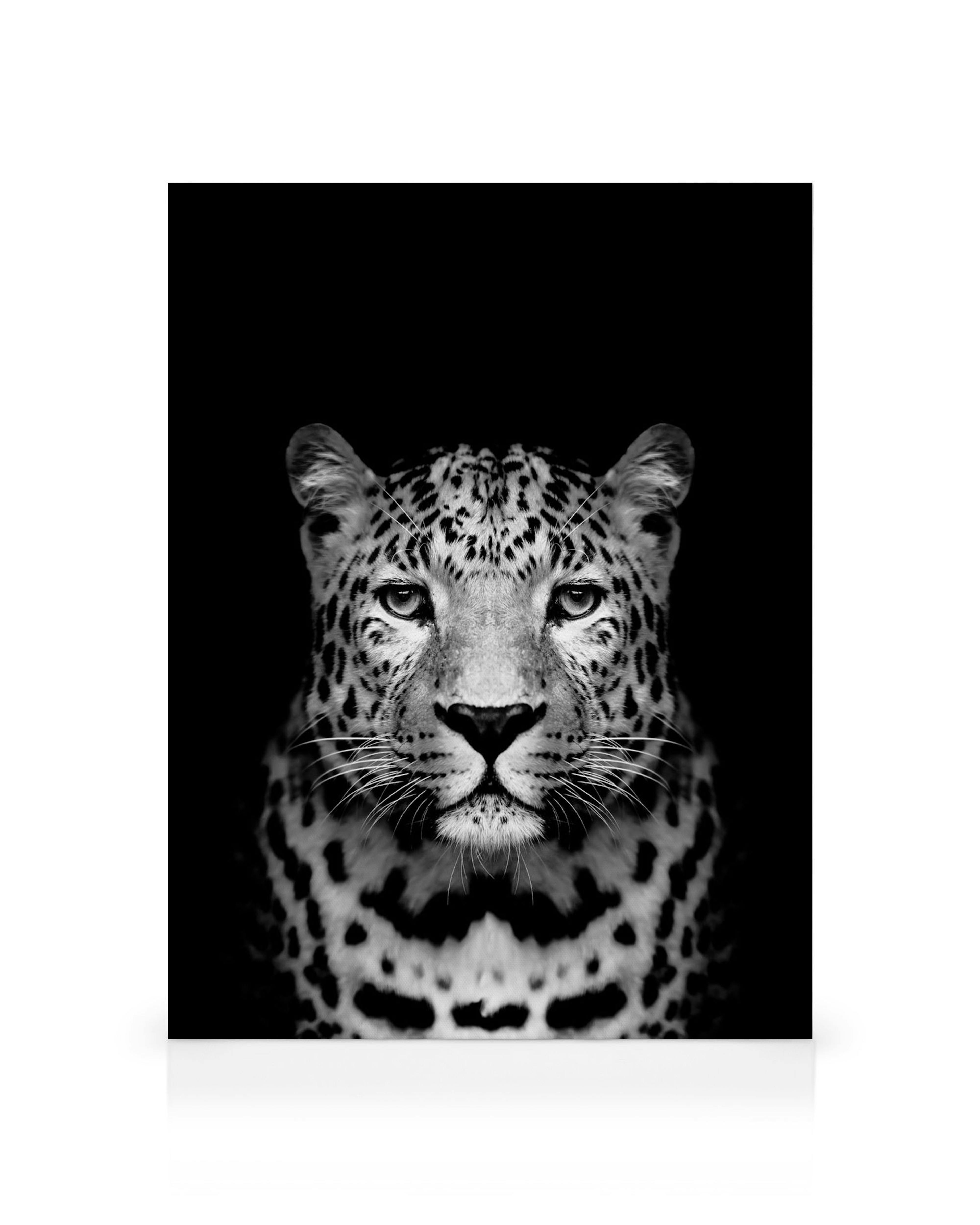 Čiernobiely obraz na plátne s detailným pohľadom na hlavu leoparda s výraznými škvrnami a fúzmi.