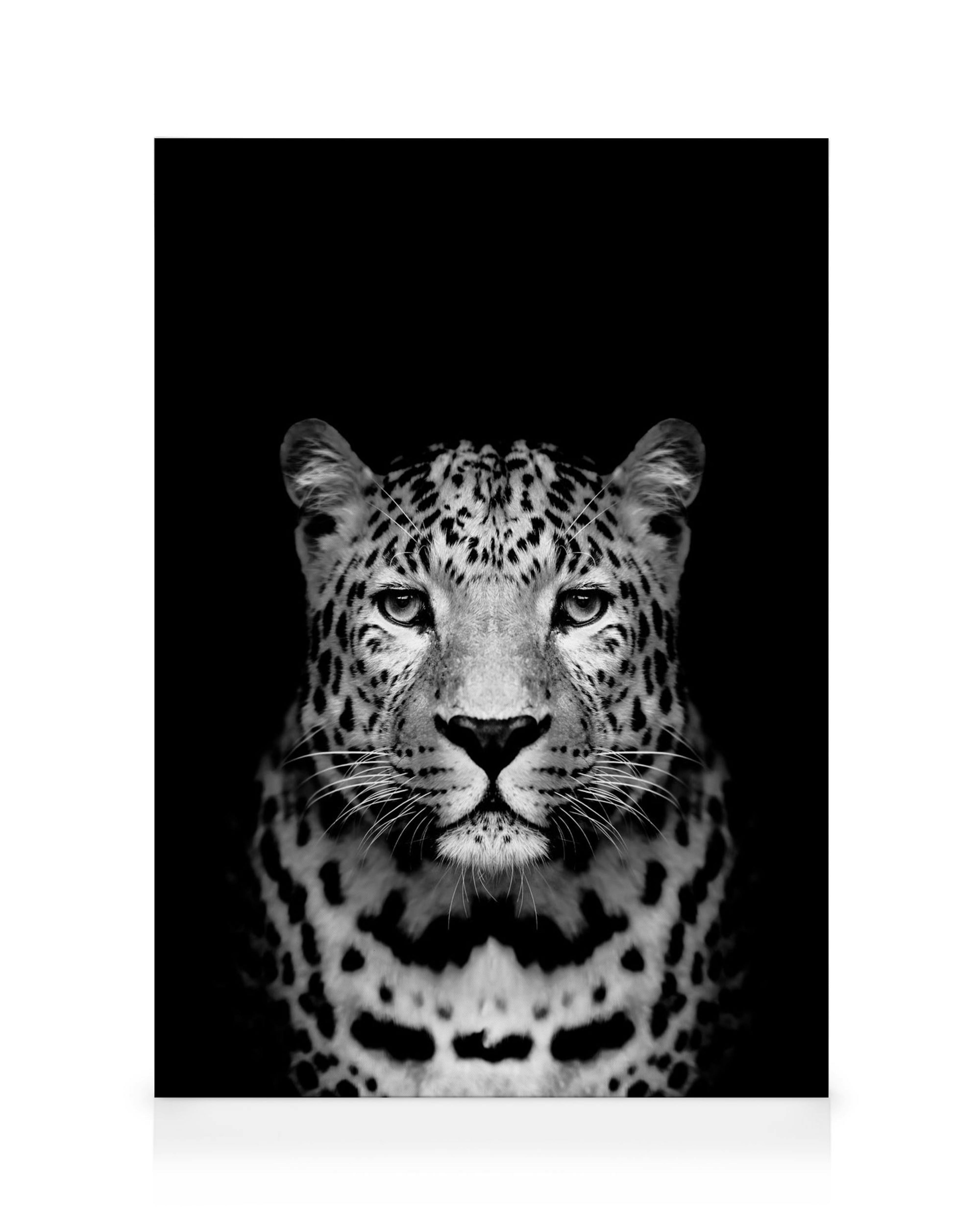 Svartvit canvastavla med en leopard som tittar rakt fram, med tydliga fläckar och morrhår mot en mörk bakgrund. Ett vackert djur