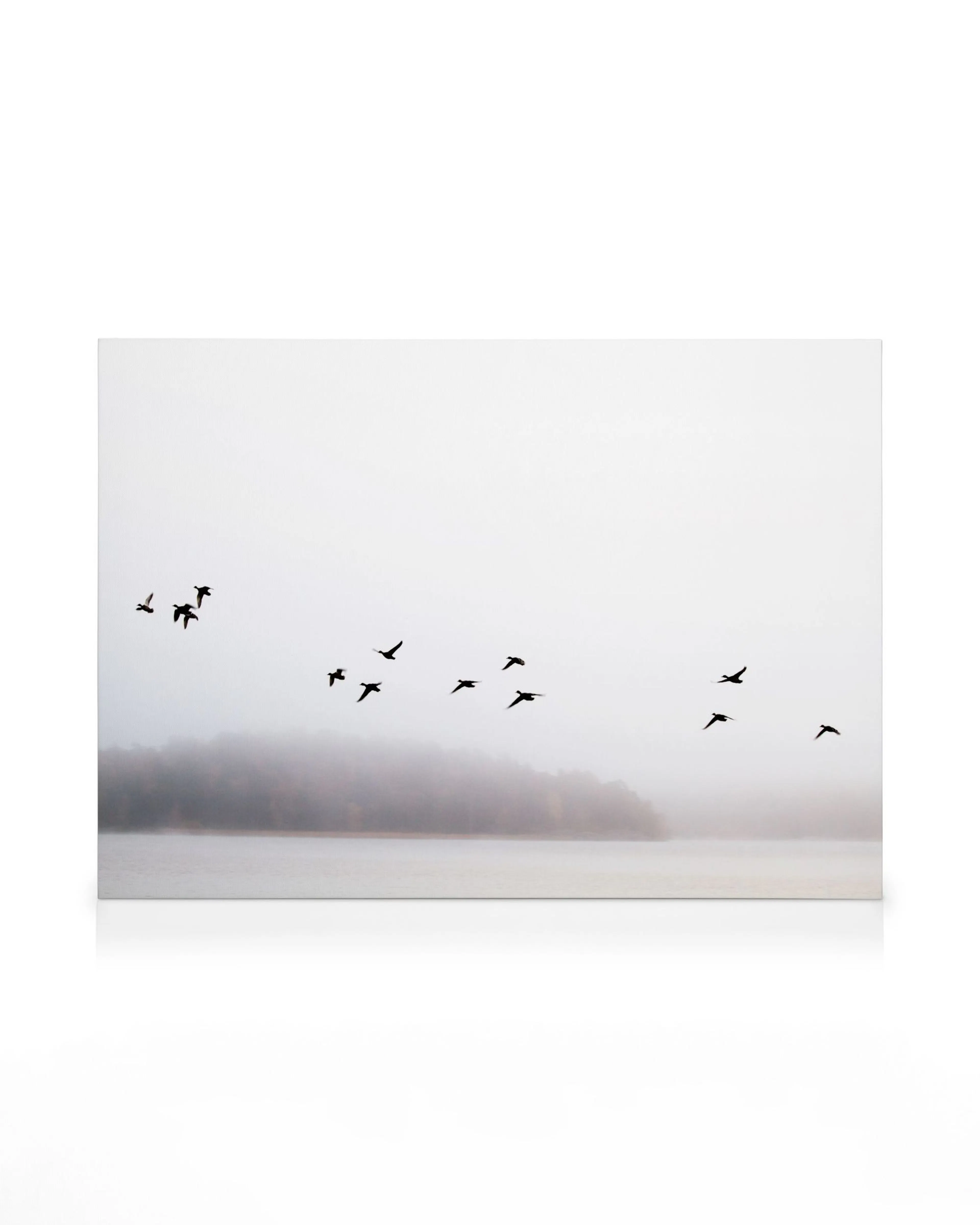 Birds flying over a misty lake with trees in background, gray and white canvas print.