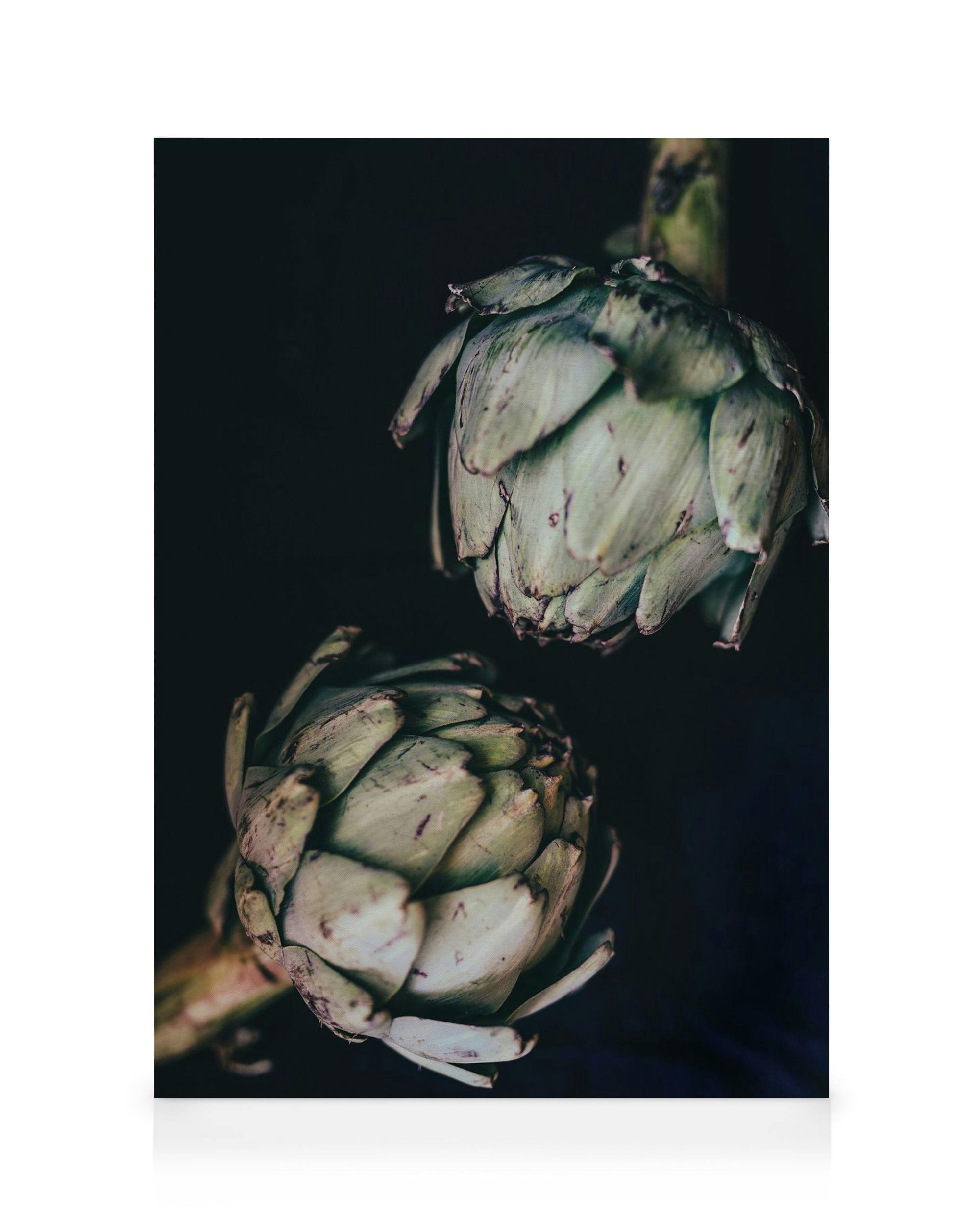 Artichokes Stampa su Tela (50x70 cm)-Stampe su tela