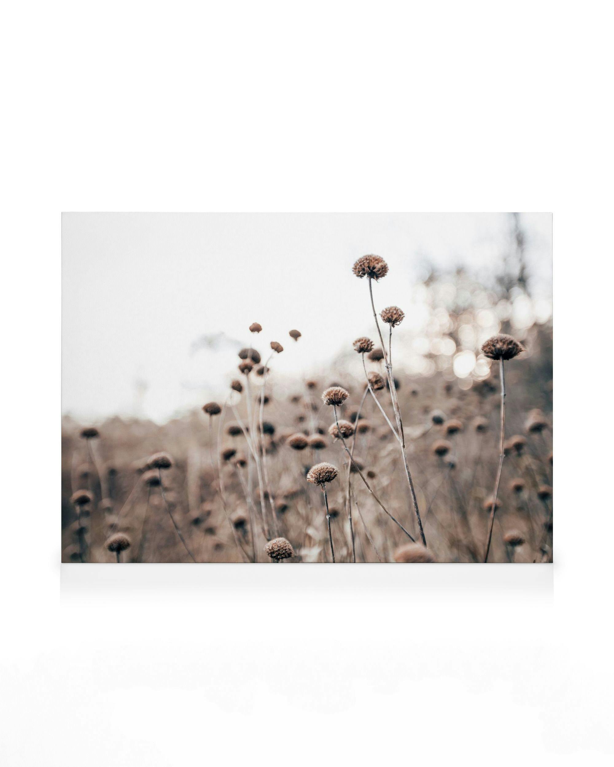 Canvas Prints Monochrome Flowers Canvas print (50x70 cm - Oak Frame)