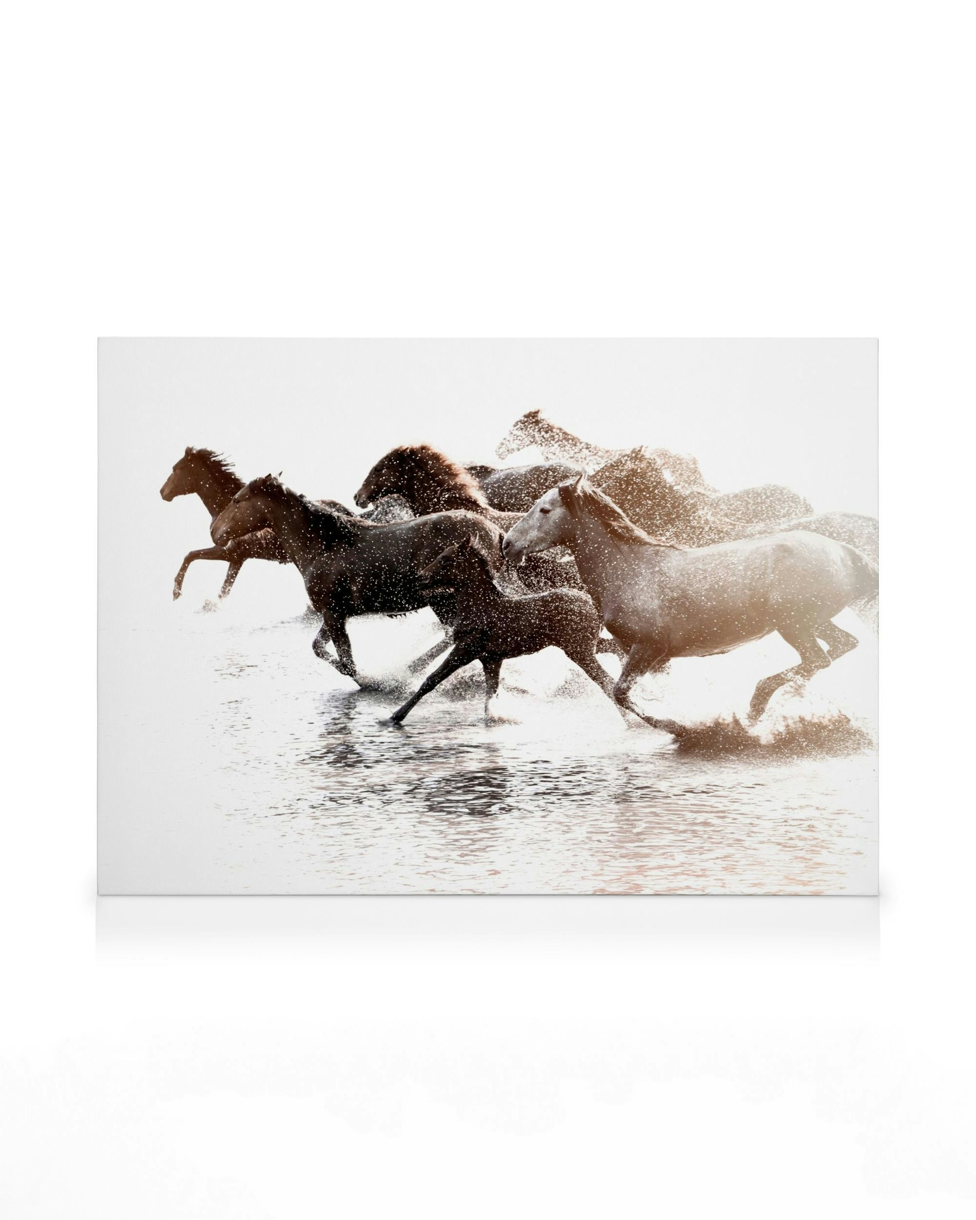 Pixxprint Le Corse Dei Cavalli In Acqua Stampa Su Tela 100x70 Cm