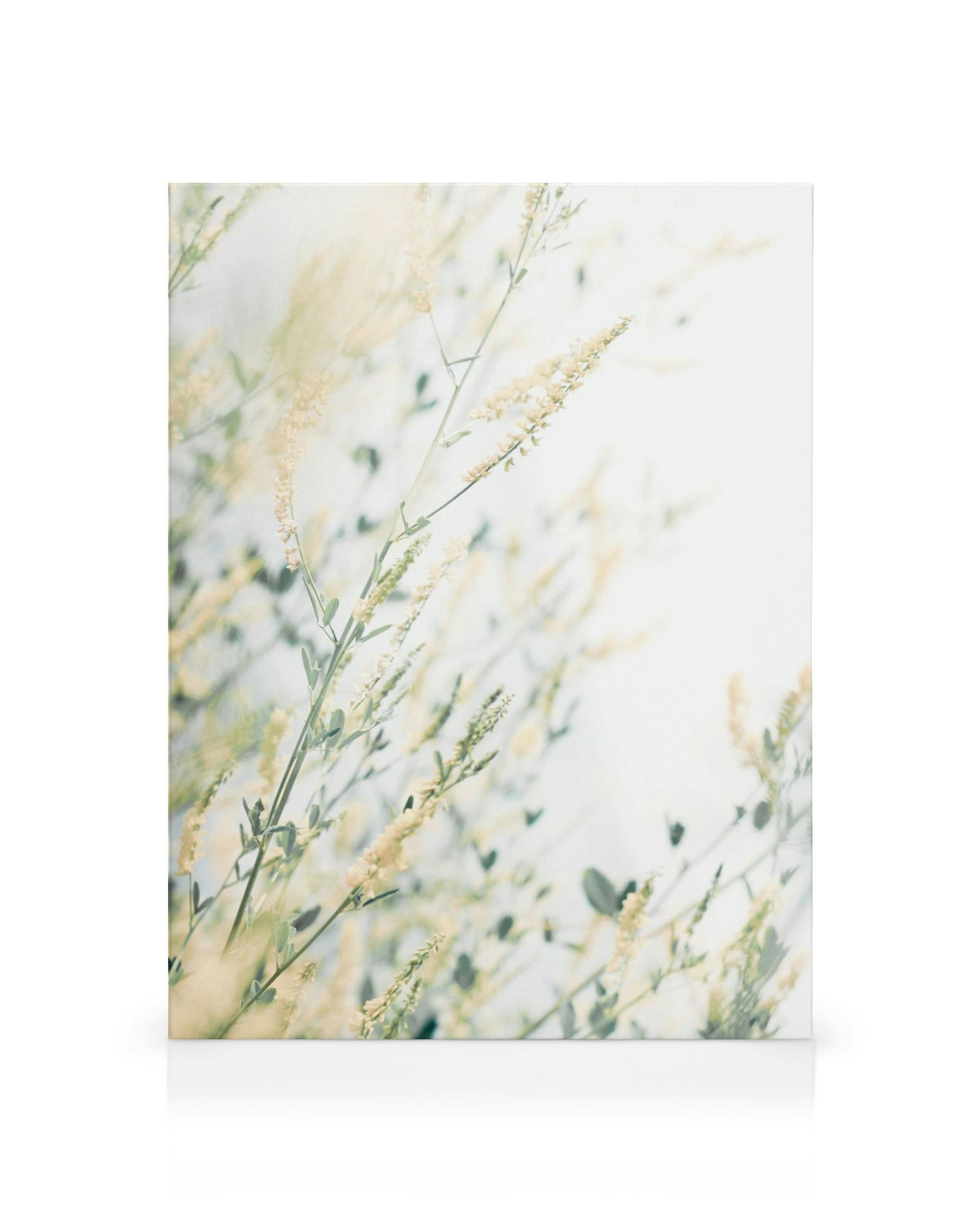 Toile avec illustration de tiges vertes et de petites fleurs jaunes sur fond blanc flou, créant un effet doux.