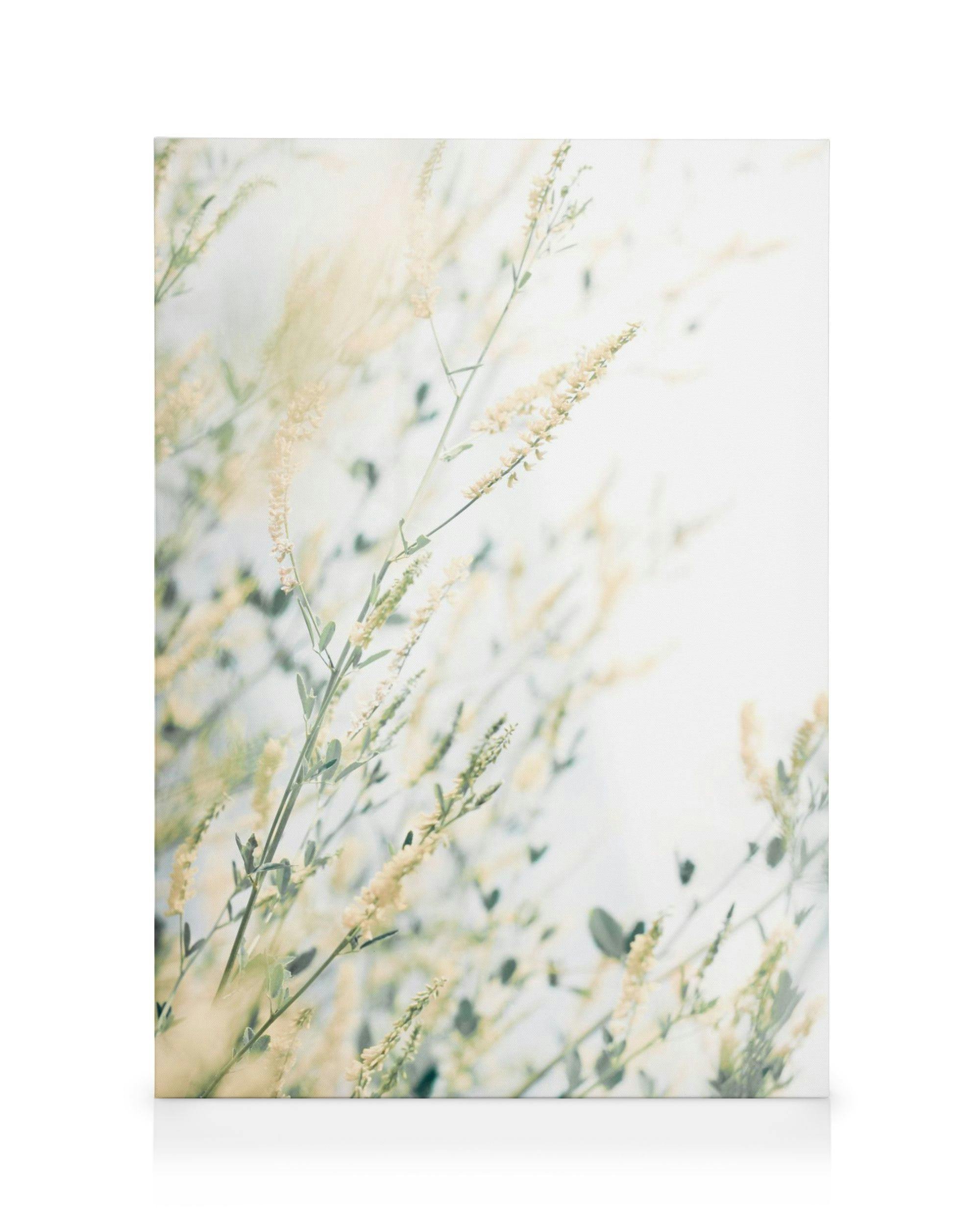 Toile avec illustration de tiges vertes et de petites fleurs jaunes sur fond blanc flou, créant un effet doux.