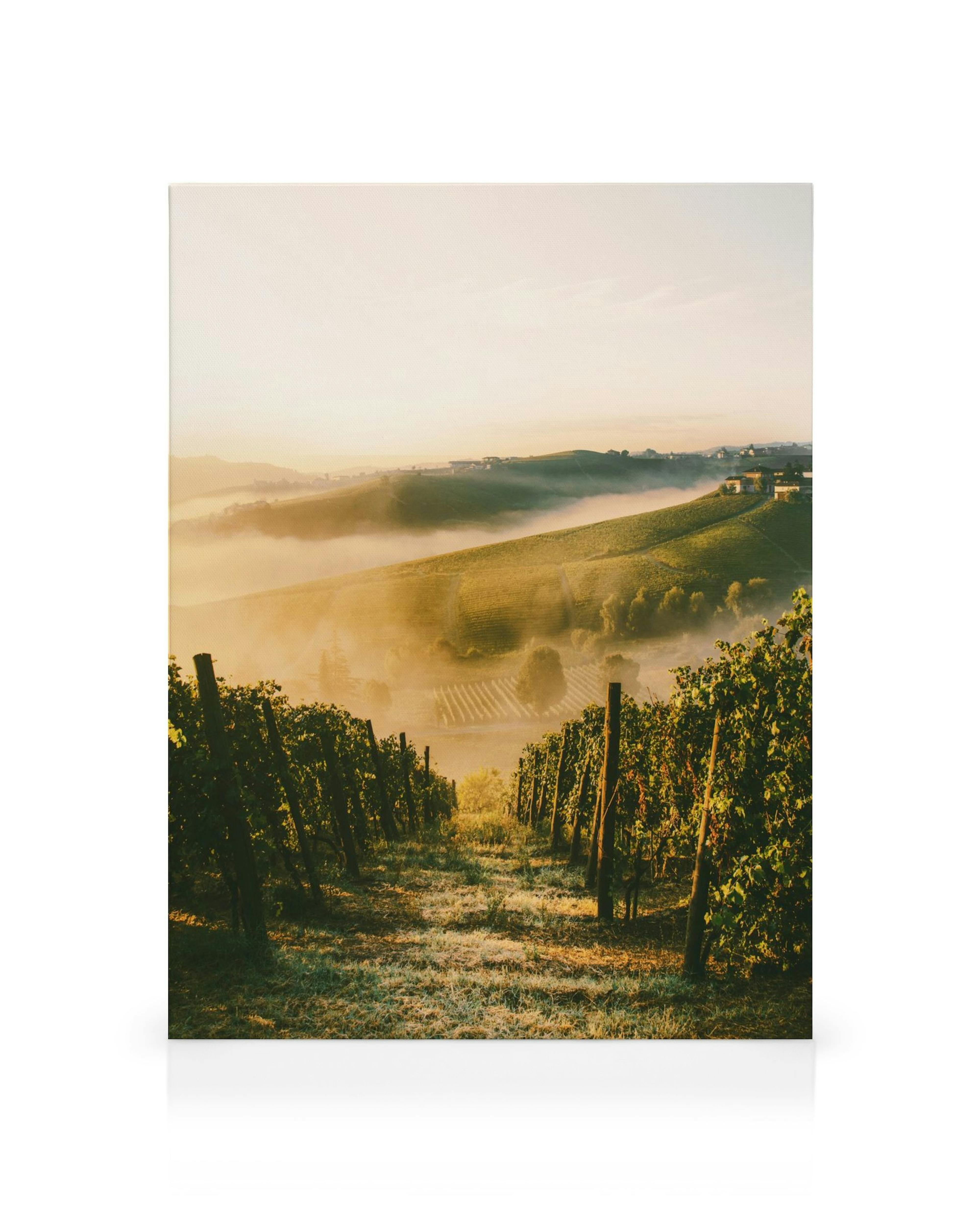Leinwandbild eines Langhe Weinbergs bei Sonnenaufgang mit Nebel über den hügeligen Weinreben und malerischen Häusern.