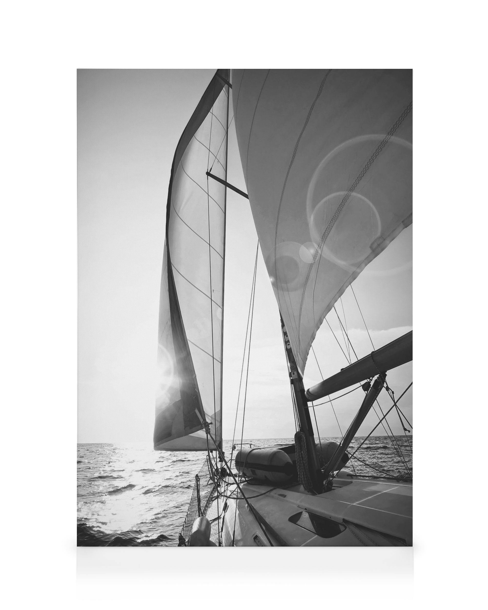 Black and white sailboat on the ocean with sails up, sun flares, a beautiful canvas print.