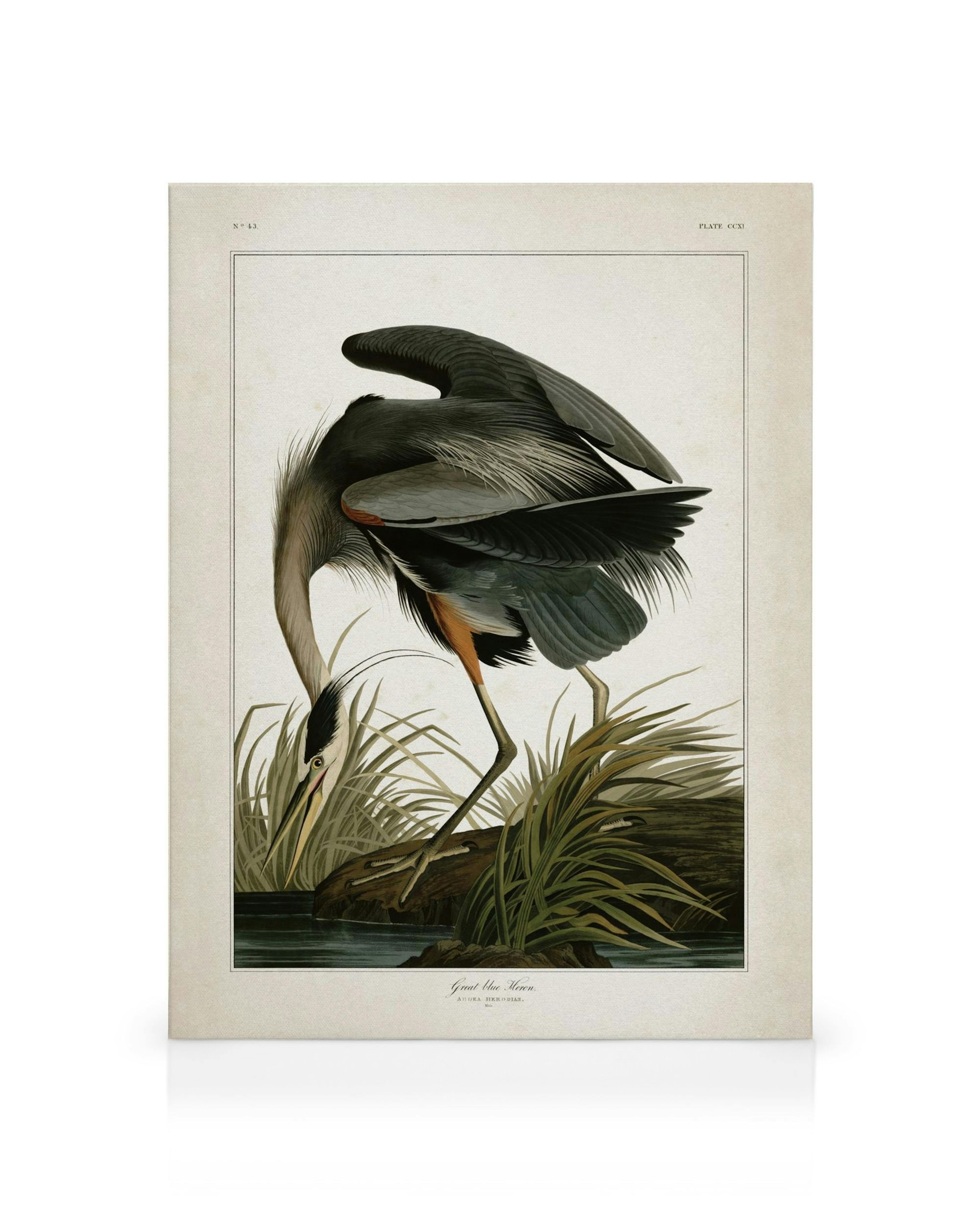Lienzo con garza azul grisácea junto al agua, alas naranjas y negras, fondo beige, arte de aves