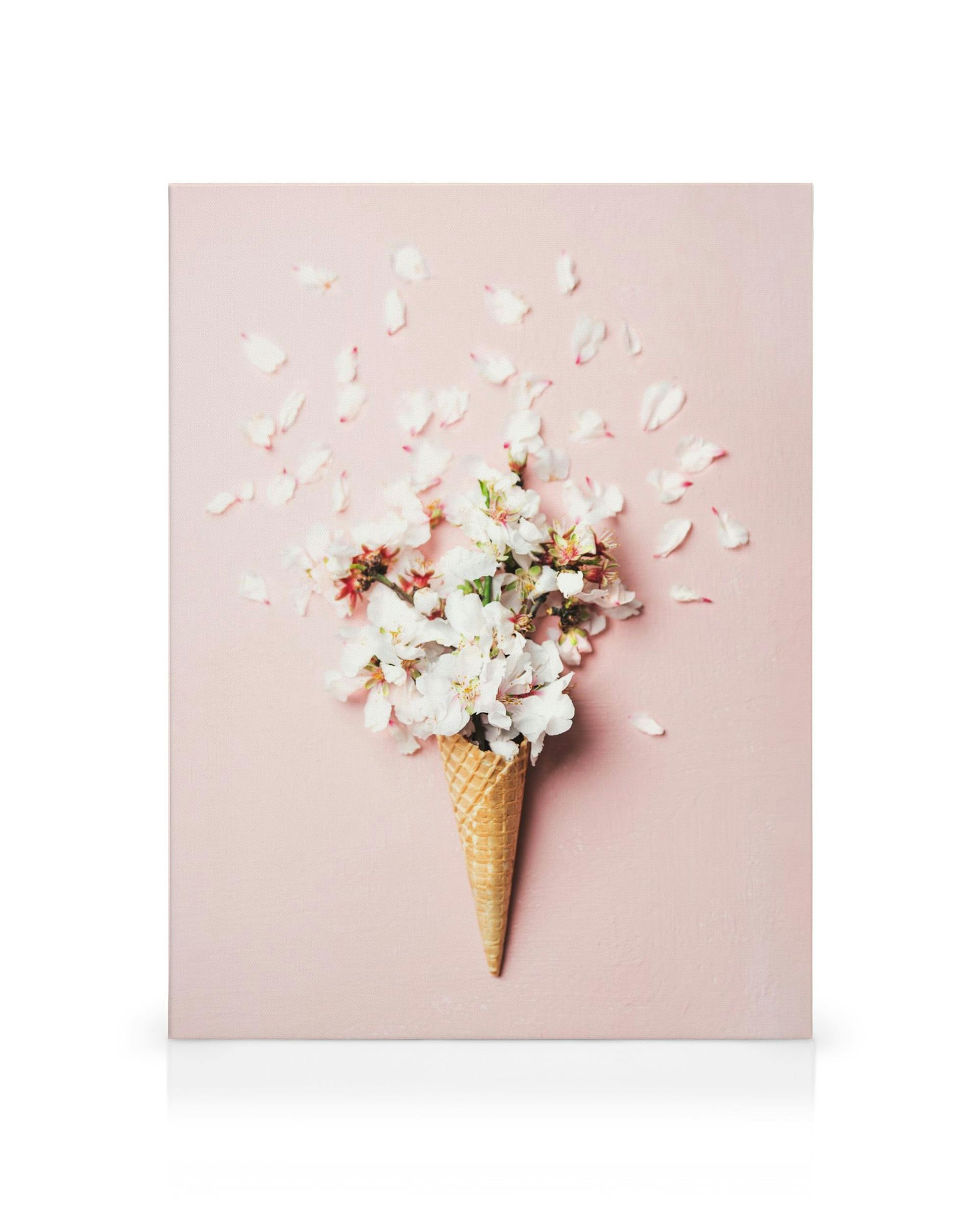 Roze canvas met ijshoorntje gevuld met witte bloemen en roze bloemblaadjes