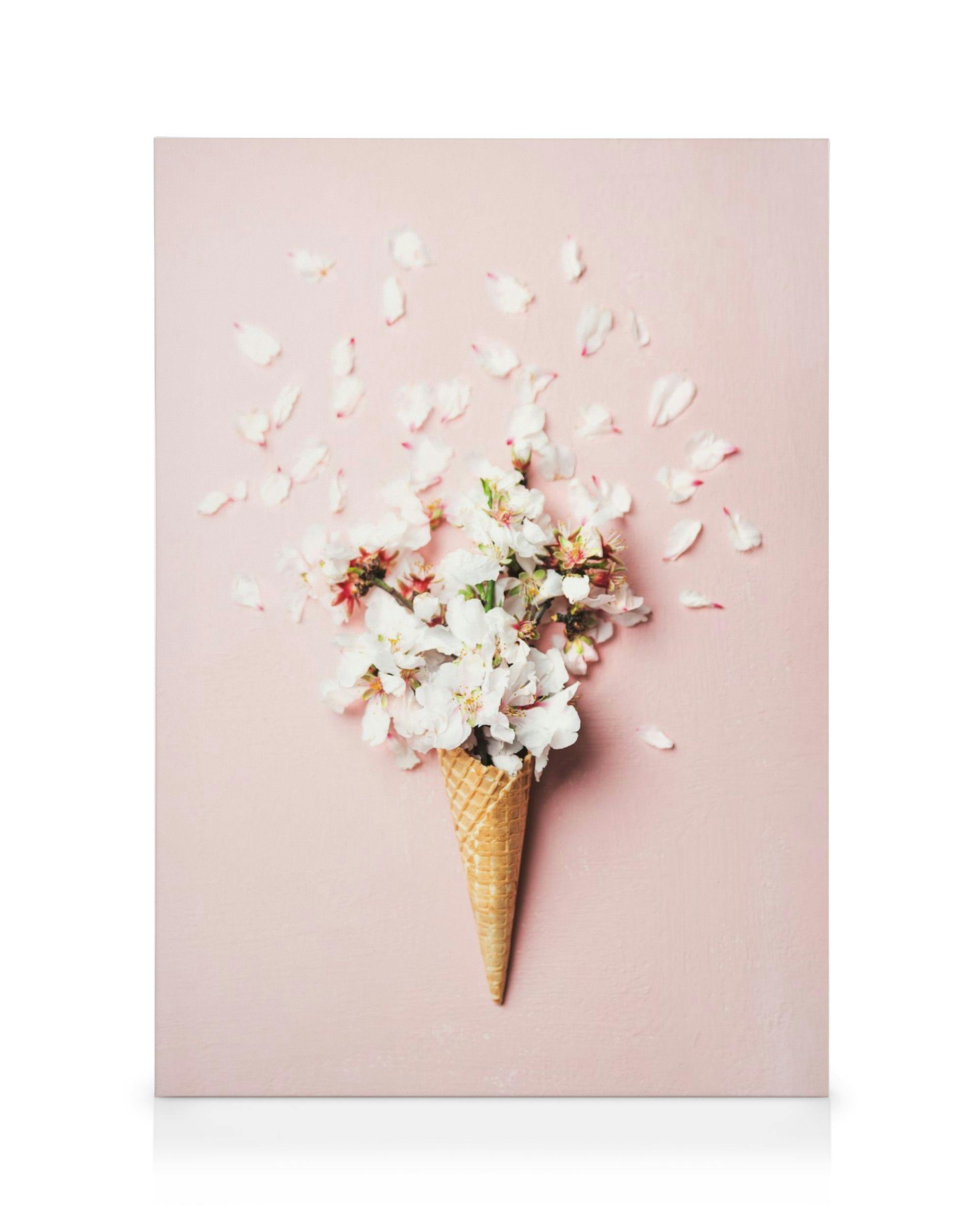 White flowers and scattered petals in an ice cream cone on a pink background, art canvas print.