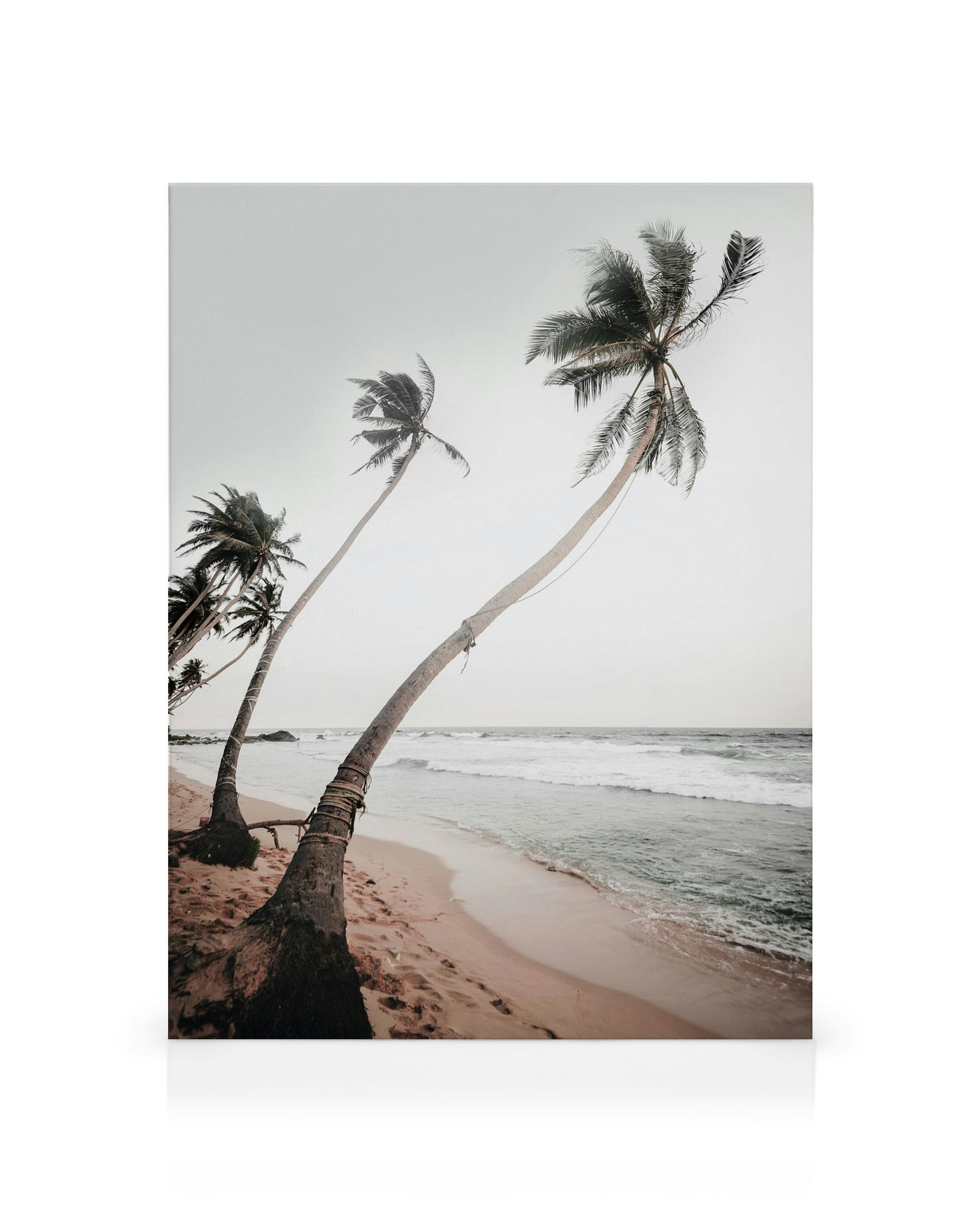 Toile de palmiers penchés sur une plage de sable beige avec un ciel pâle et locéan, ambiance tropicale
