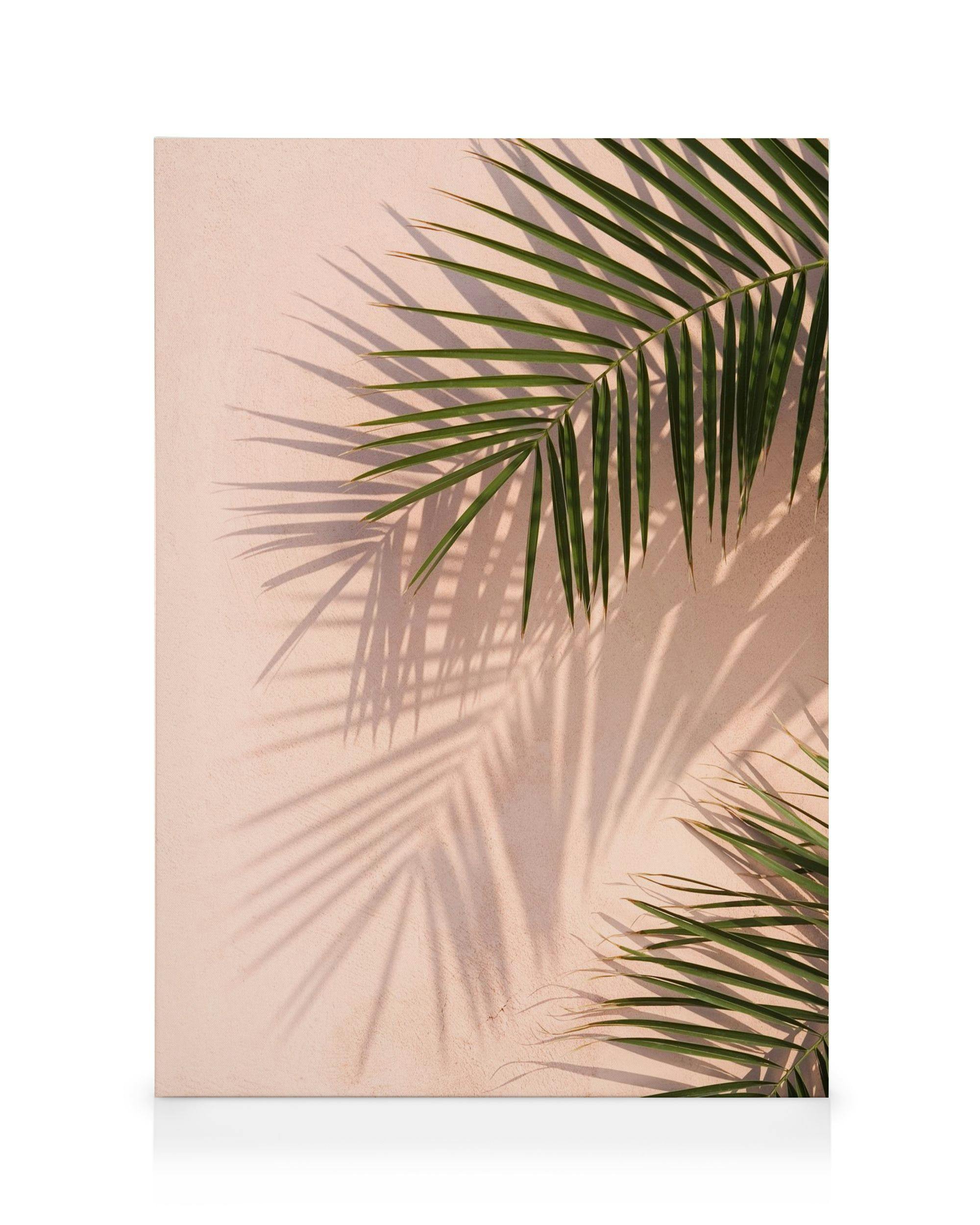 Telas decorativas Pink Palm Quadro em tela (30x40 cm)