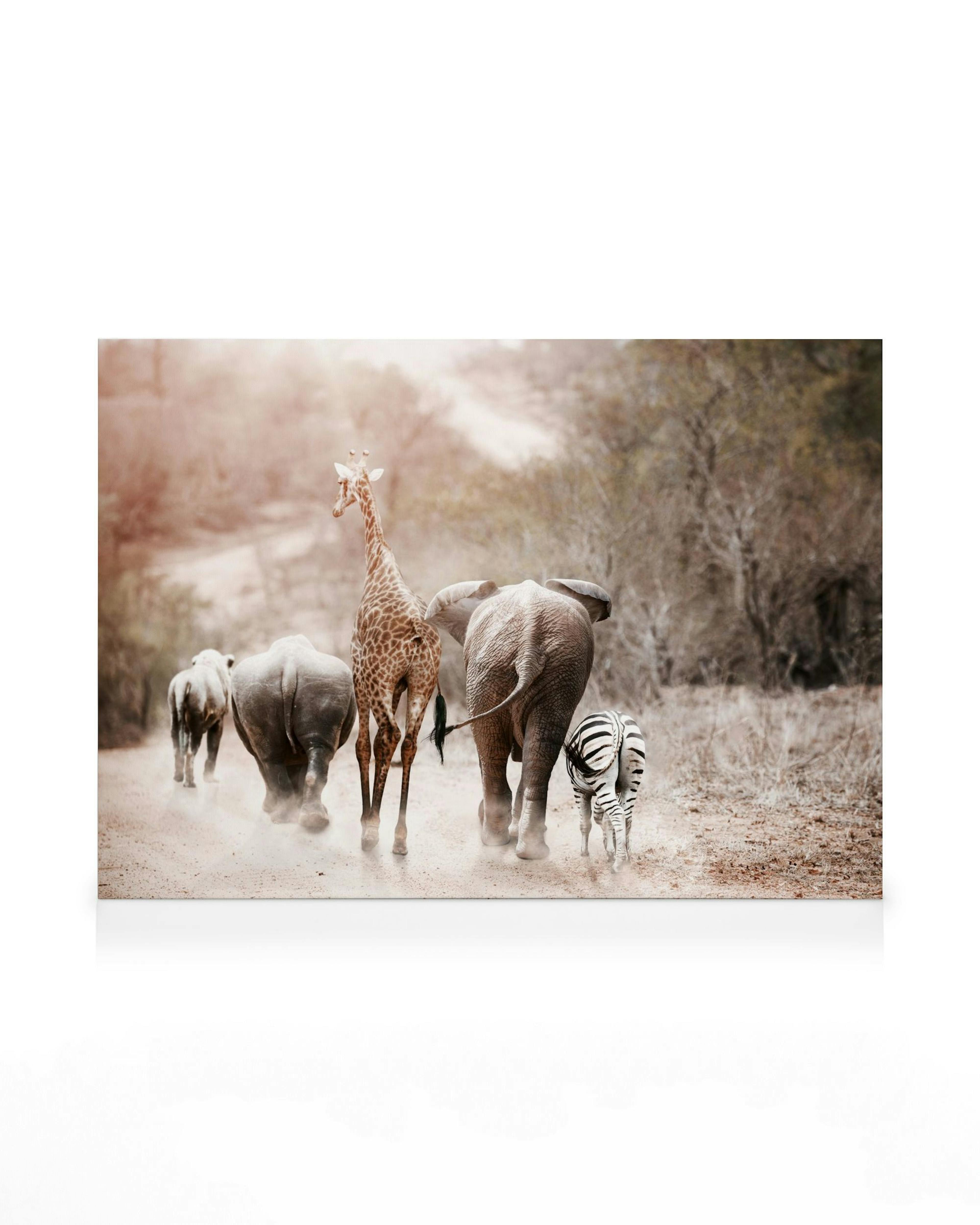 Safari animal canvas print: giraffe, elephants, and zebra walking on dusty road with trees in warm tones.