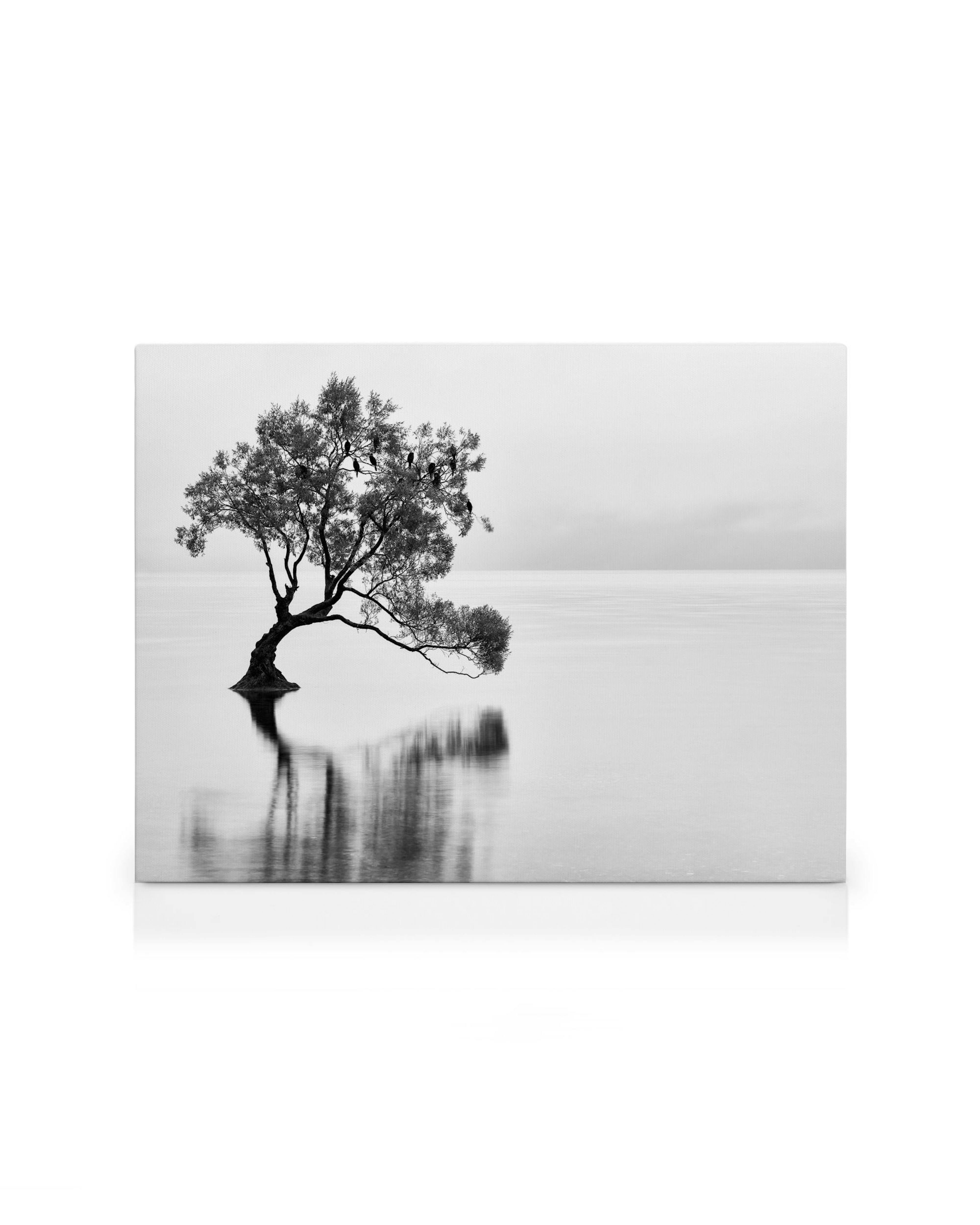 Schwarz-Weiß-Leinwandbild mit einem einsamen Baum auf ruhigem Wasser, der sich im See spiegelt. Natur.