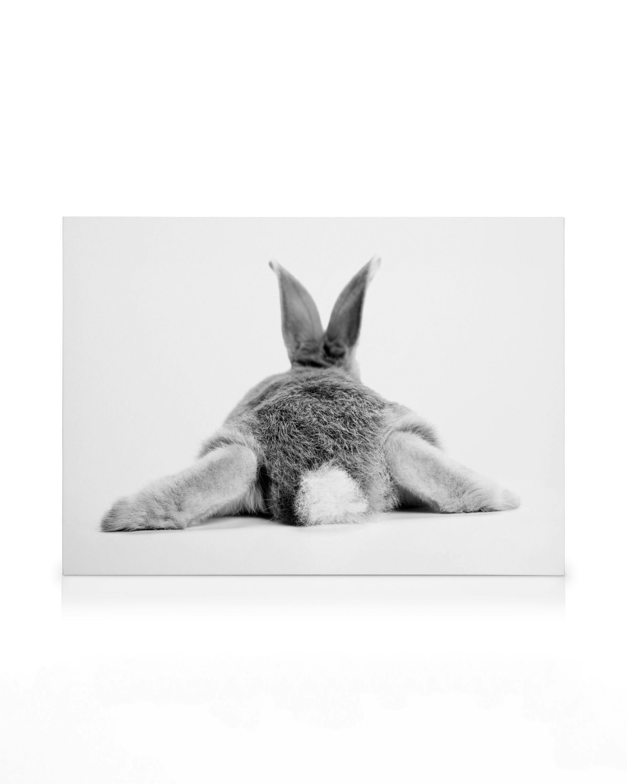 Canvas Prints Bunny Behind Canvas print (30x40 cm - Black Frame)