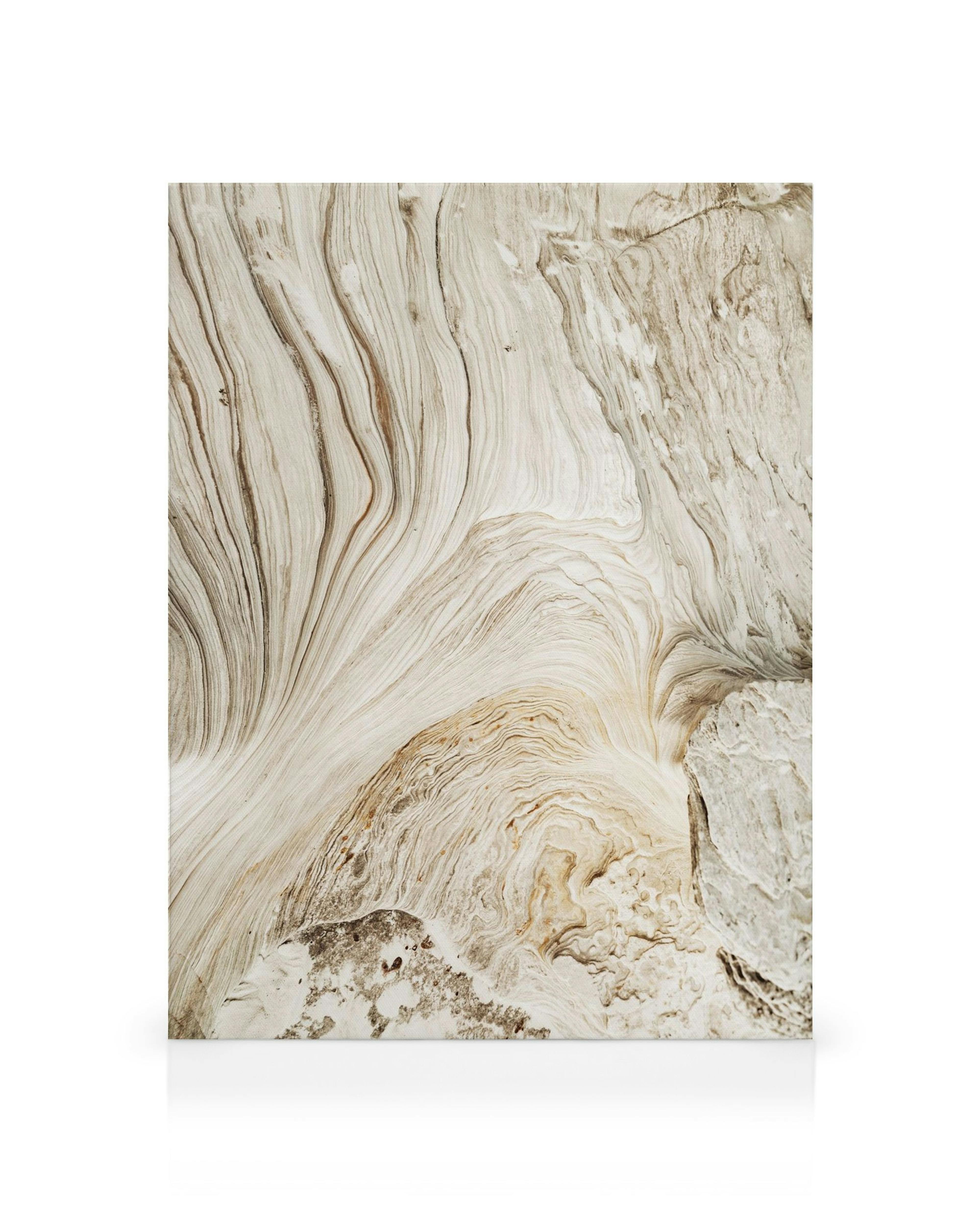 Leinwandbild mit hellem, wirbelndem Muster, das an Felsformationen und fliessendes Wasser erinnert. Braune und beige Töne.