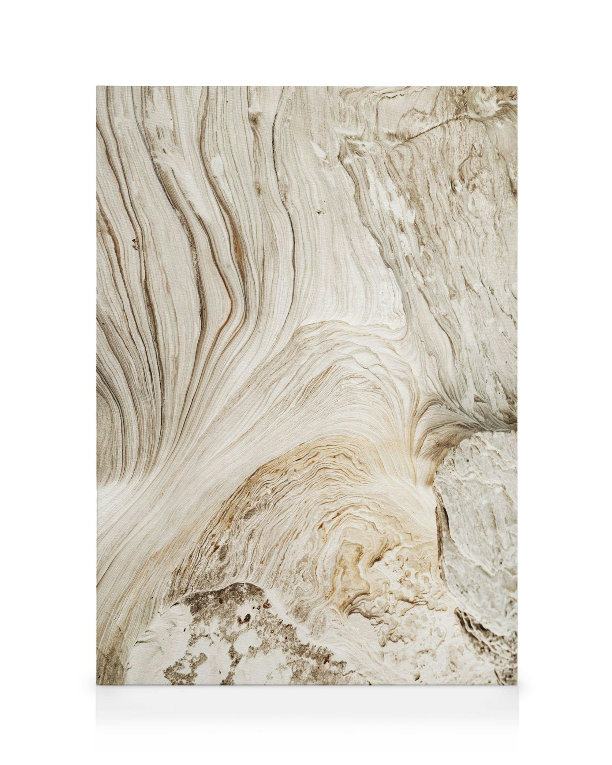 Canvastavla med abstrakta virvlande linjer i naturfärger som liknar klippformationer eller träfibrer. En elegant väggkonst.