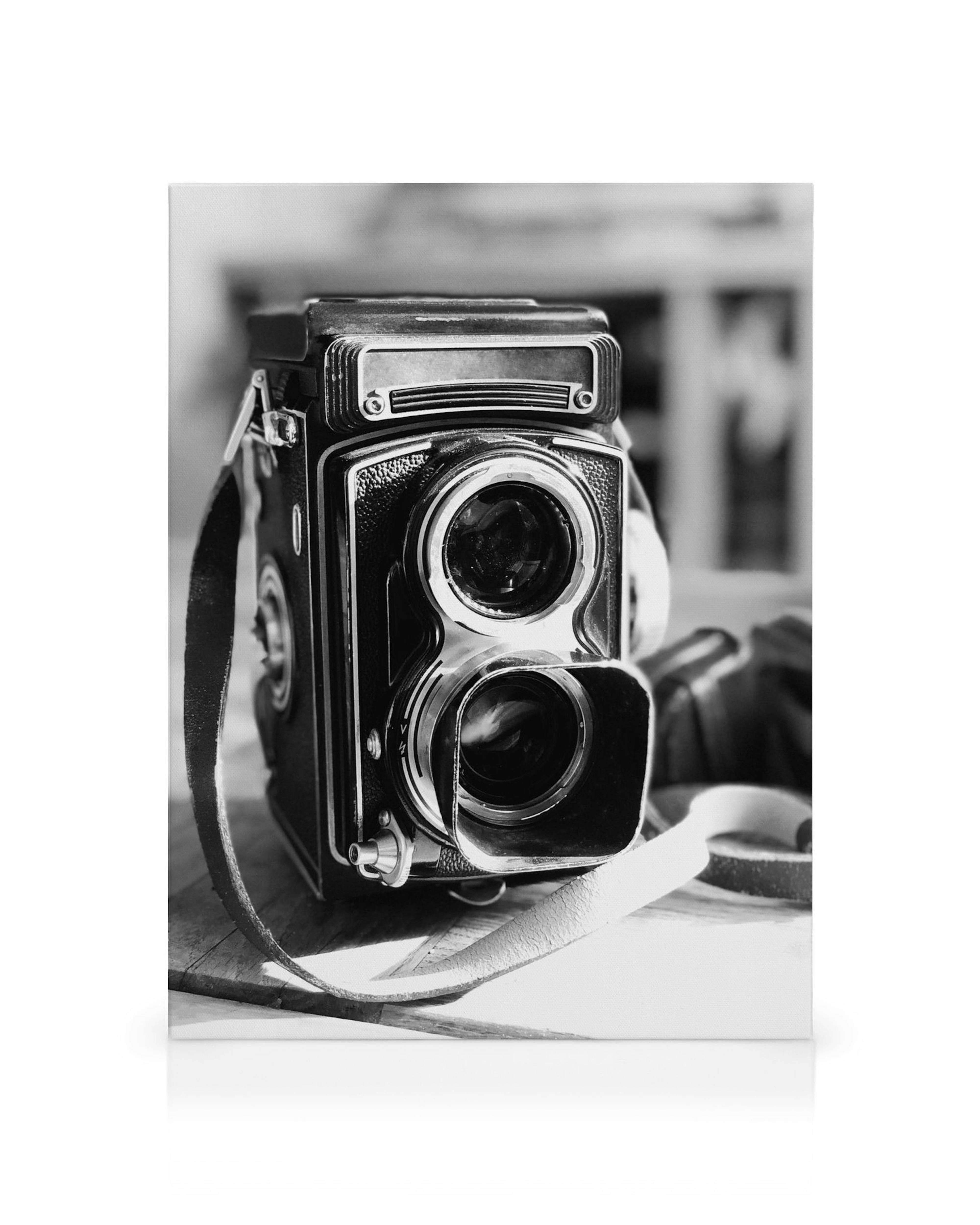 Lienzo monocromático de cámara réflex de doble lente vintage, estilo fotográfico antiguo.
