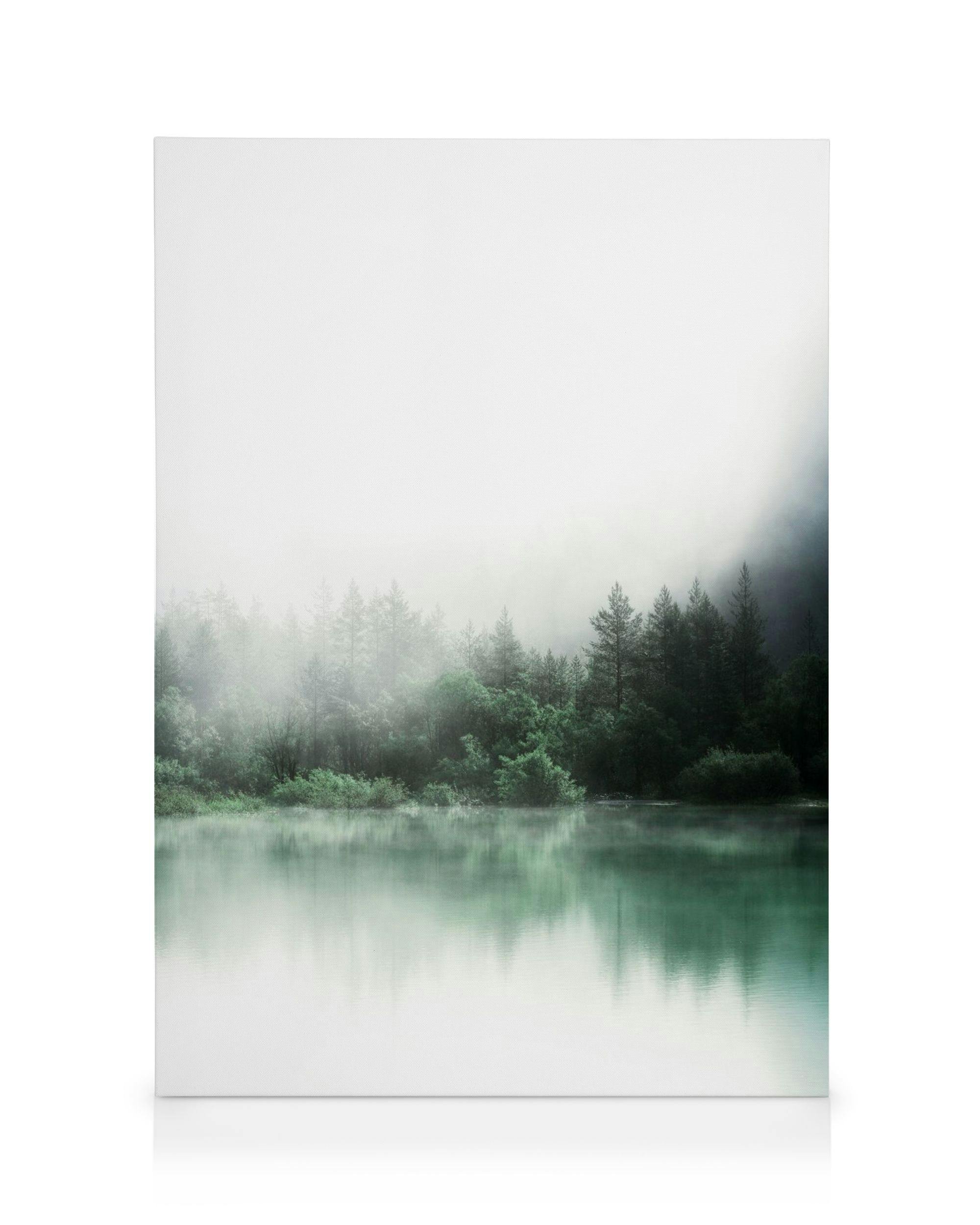 Forest Reflections Toile (50x70 cm - Cadre de chêne)  Nature