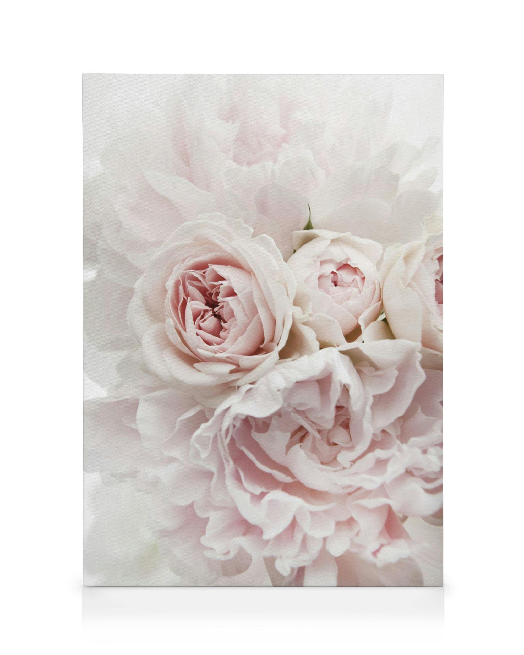 Leinwandbilder Peonies and Roses Leinwandbild (30x40 cm - Holzrahmen schwarz)