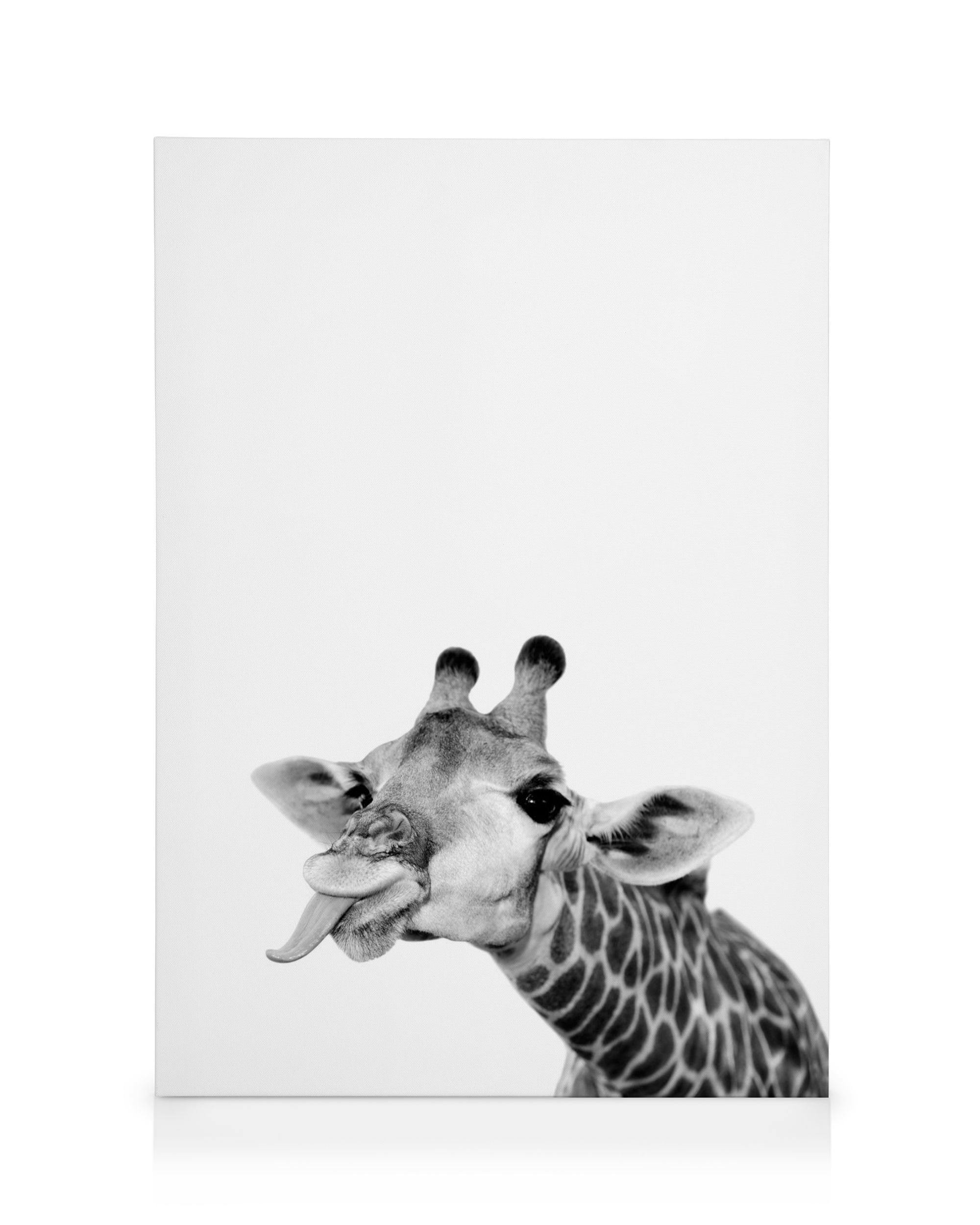 Stampa su tela con la testa di giraffa in bianco e nero, lingua lunga, corna e pelo a motivi