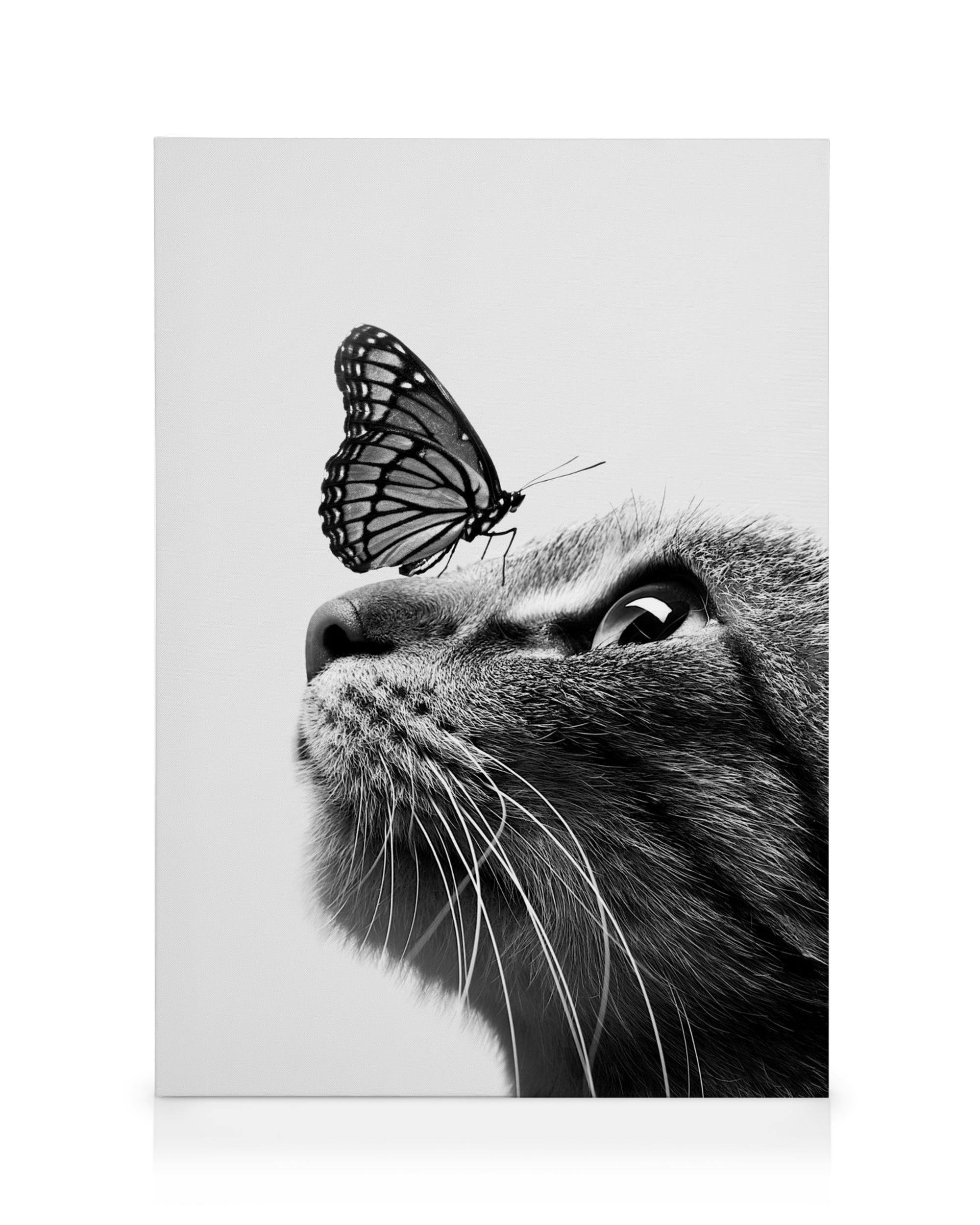 Stampa su tela in bianco e nero di un gatto con una farfalla sulla testa, ideale per amanti degli animali.