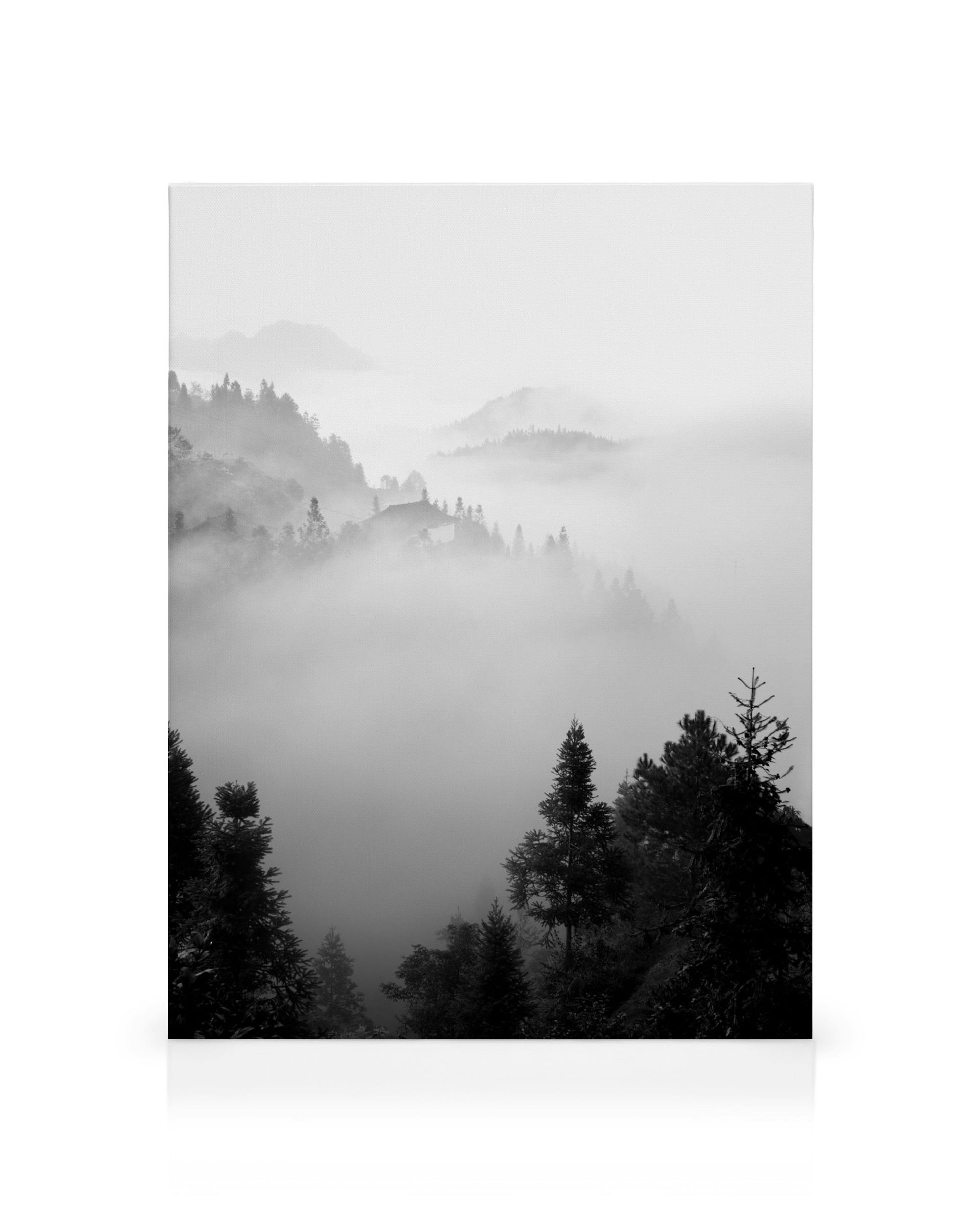 Toile noire et blanche, montagnes brumeuses avec des pins en premier plan, ambiance mystérieuse de forêt brumeuse.