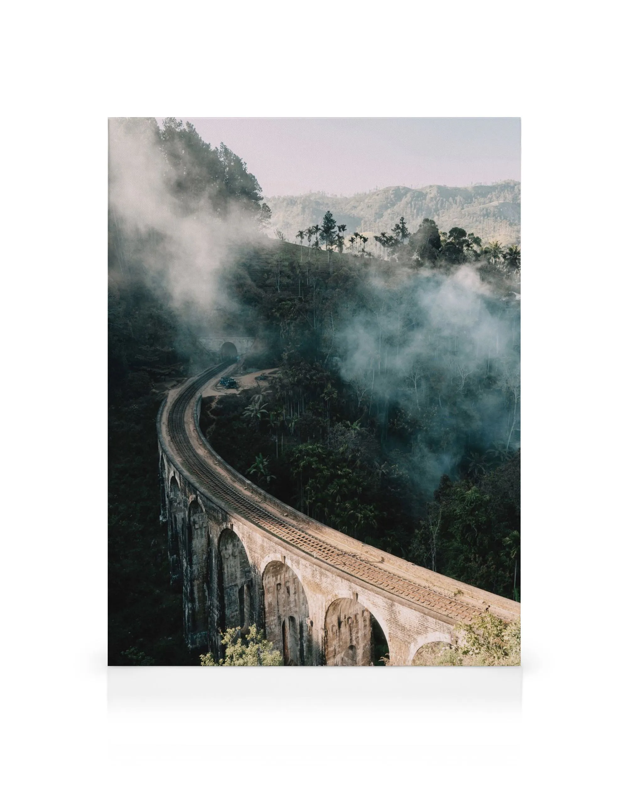 Toile de la brume matinale sur le pont aux neuf arches et forêt