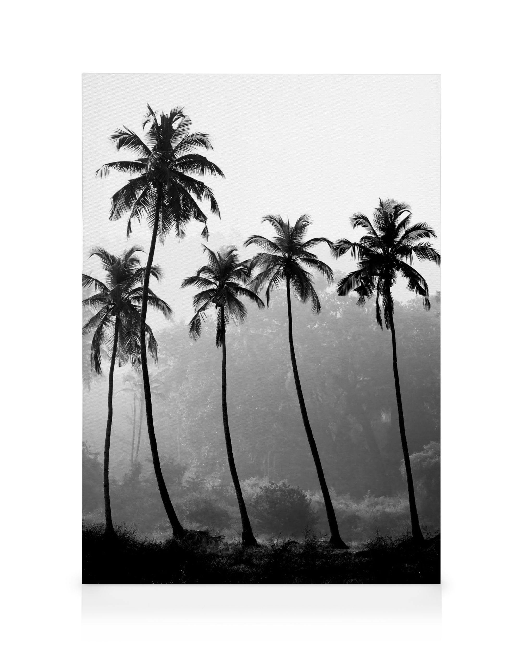 Canvas Prints Palm Trees Canvas print (30x40 cm - Black Frame)