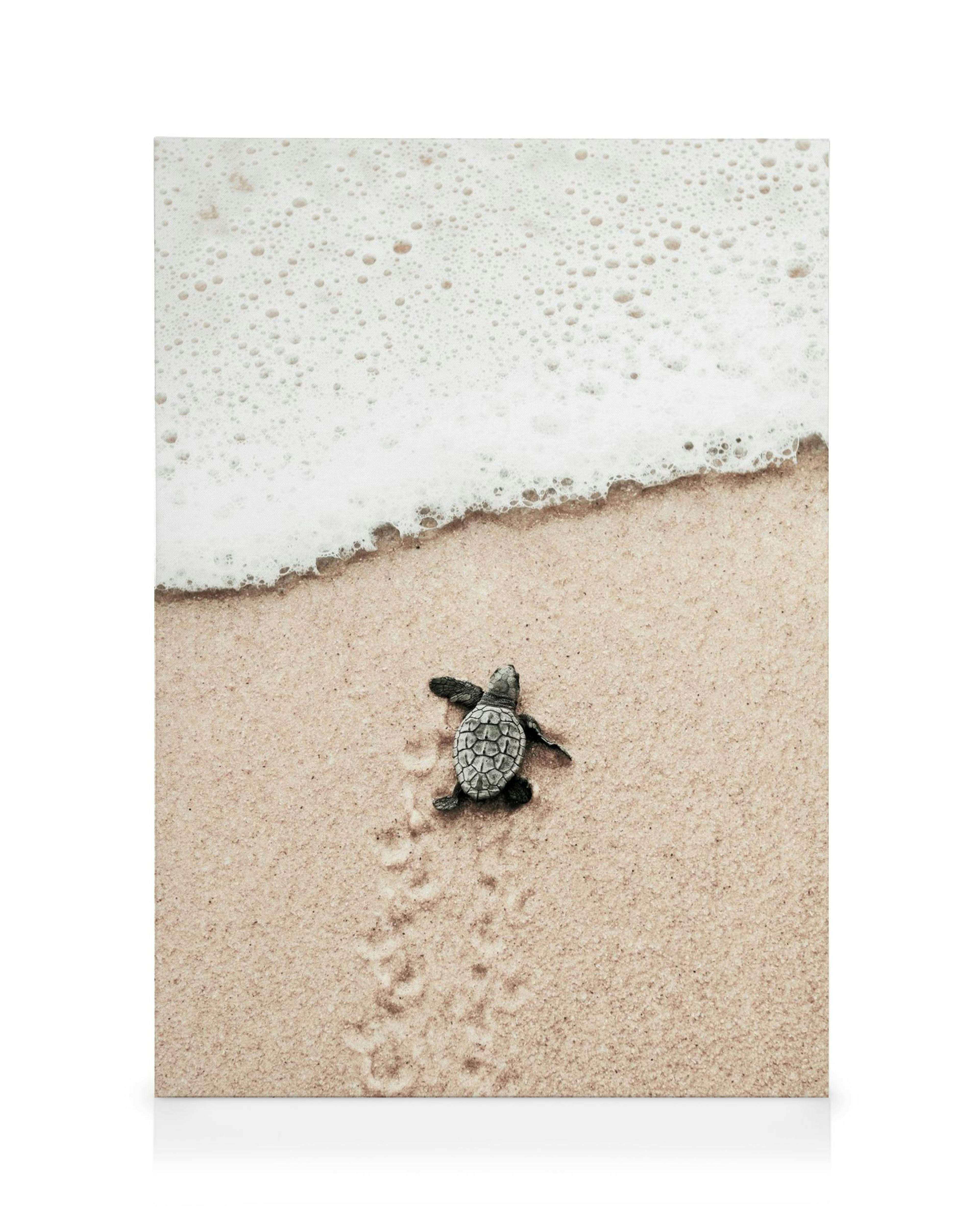 Tartaruga marina neonata sulla sabbia con bolle bianche, impronte nella sabbia e onda.