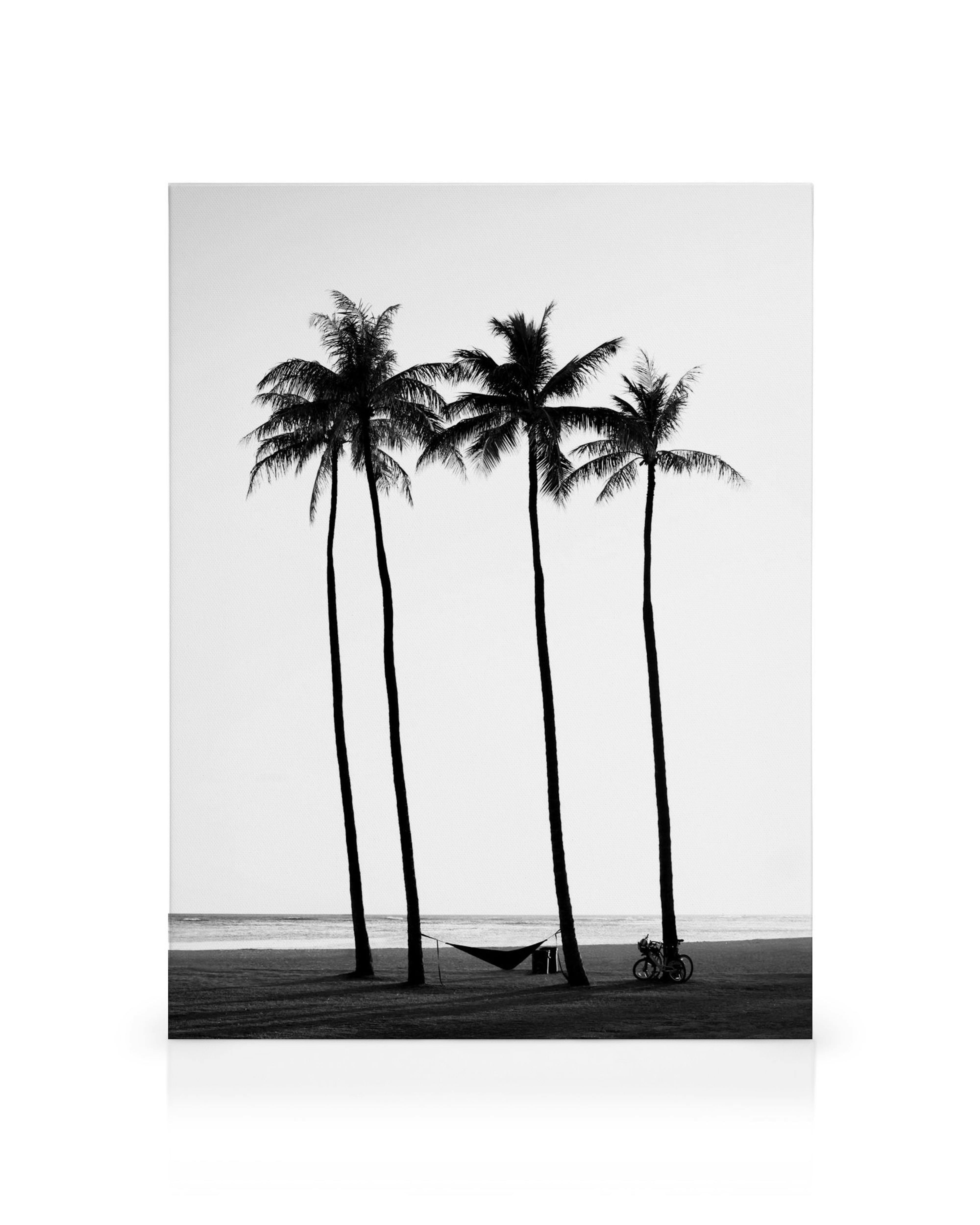 Black and white beach scene with four tall palm trees silhouetted against a bright sky, a hammock, and a bicycle.