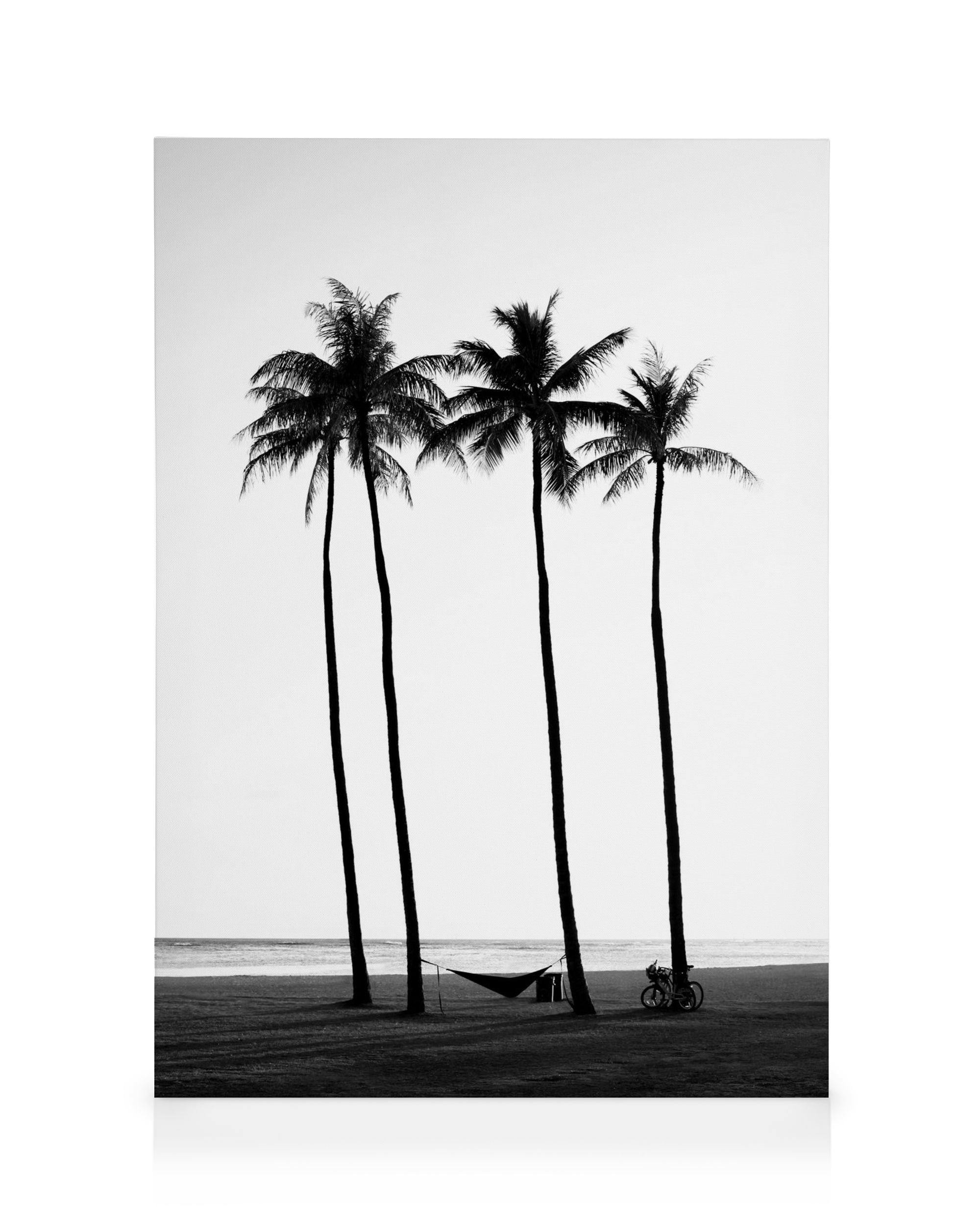 Canvas Schilderijen Palm Trees on Beach Canvas (30x40 cm - Fotolijst Zwart)