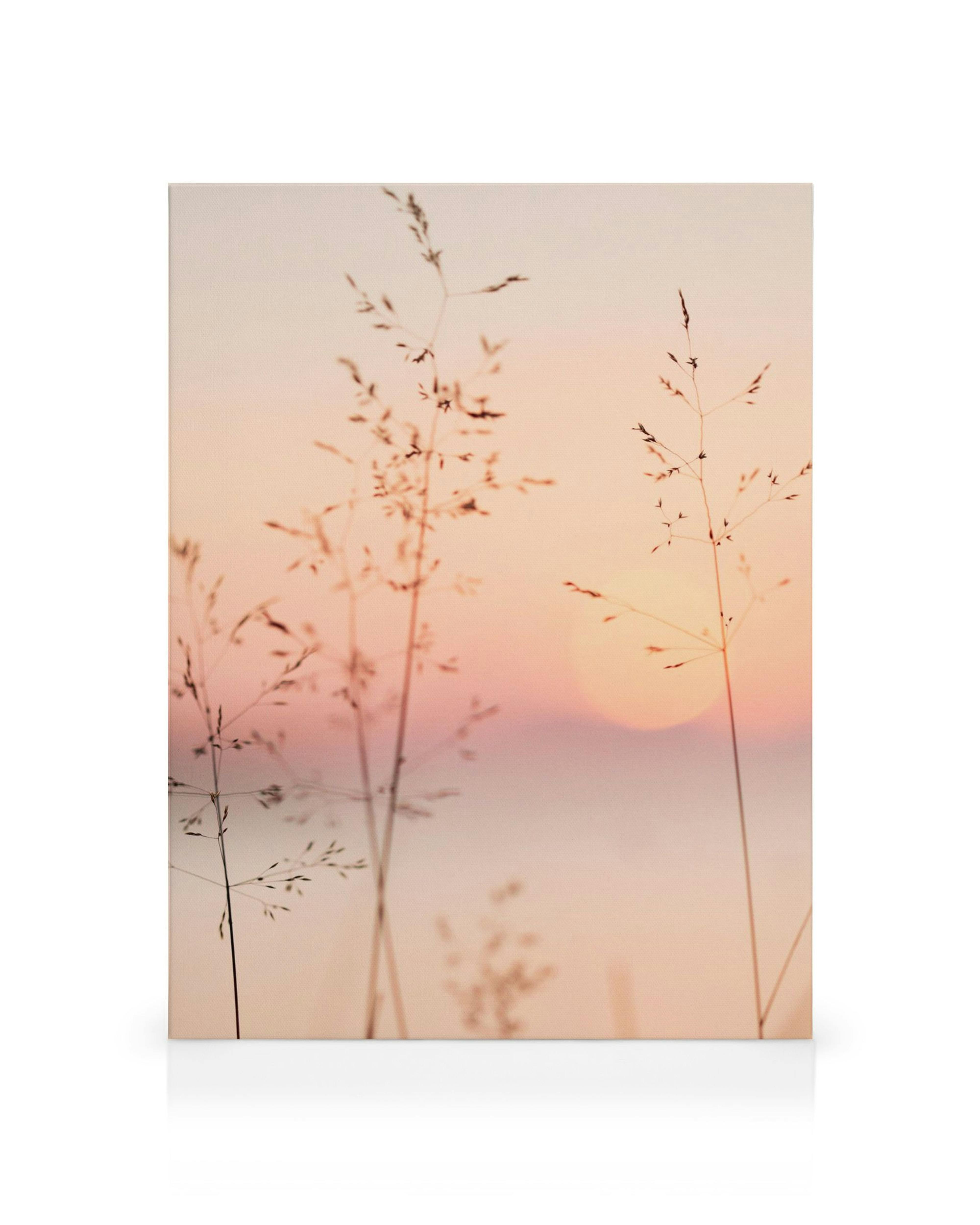 Toile de coucher de soleil pastel avec silhouettes dherbes, ciel dégradé rose et orange