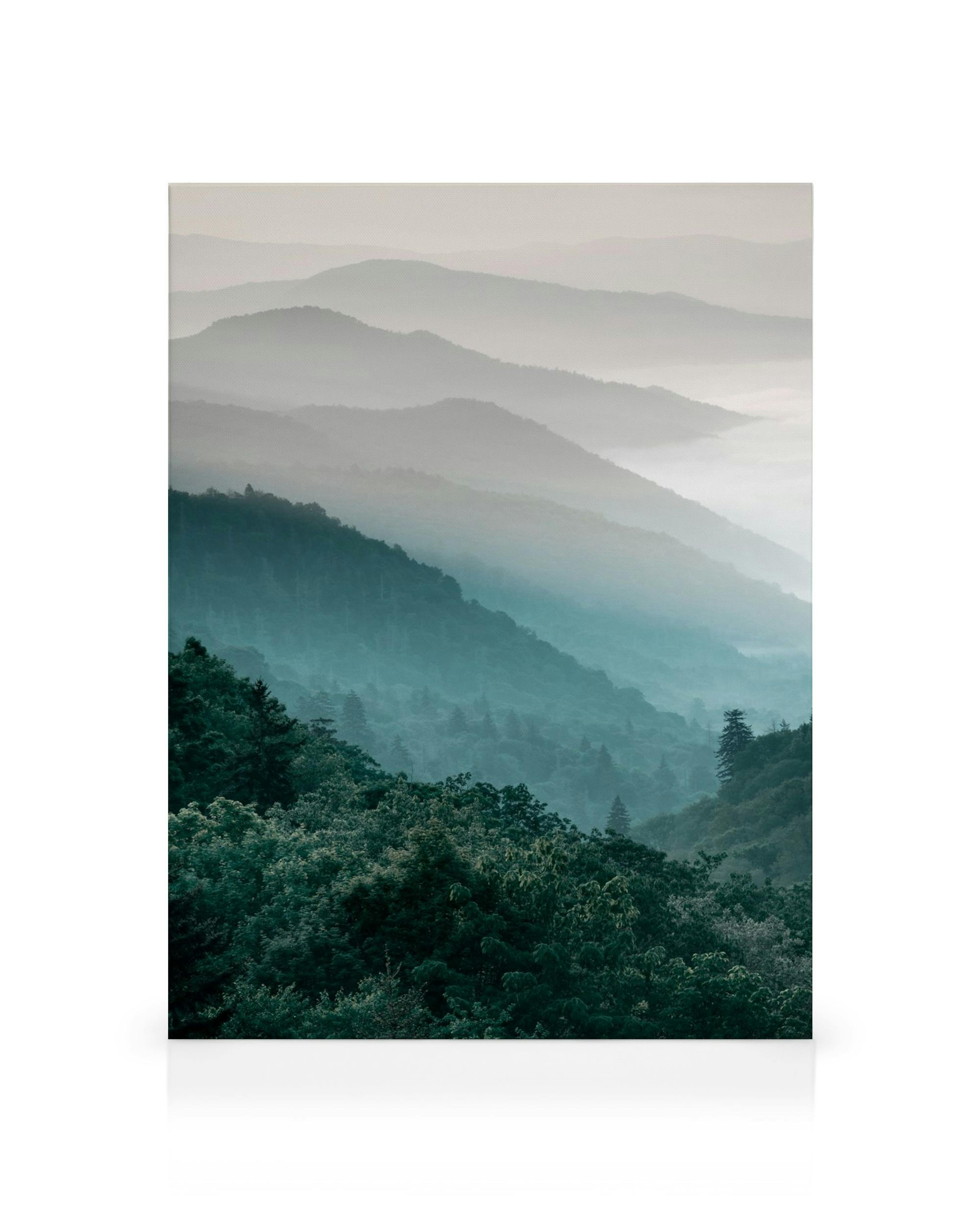 Fotografie horské krajiny s lesy a mlhou, která se vlní nad vrcholky. Klidná přírodní scenérie v odstínech modré a zelené.
