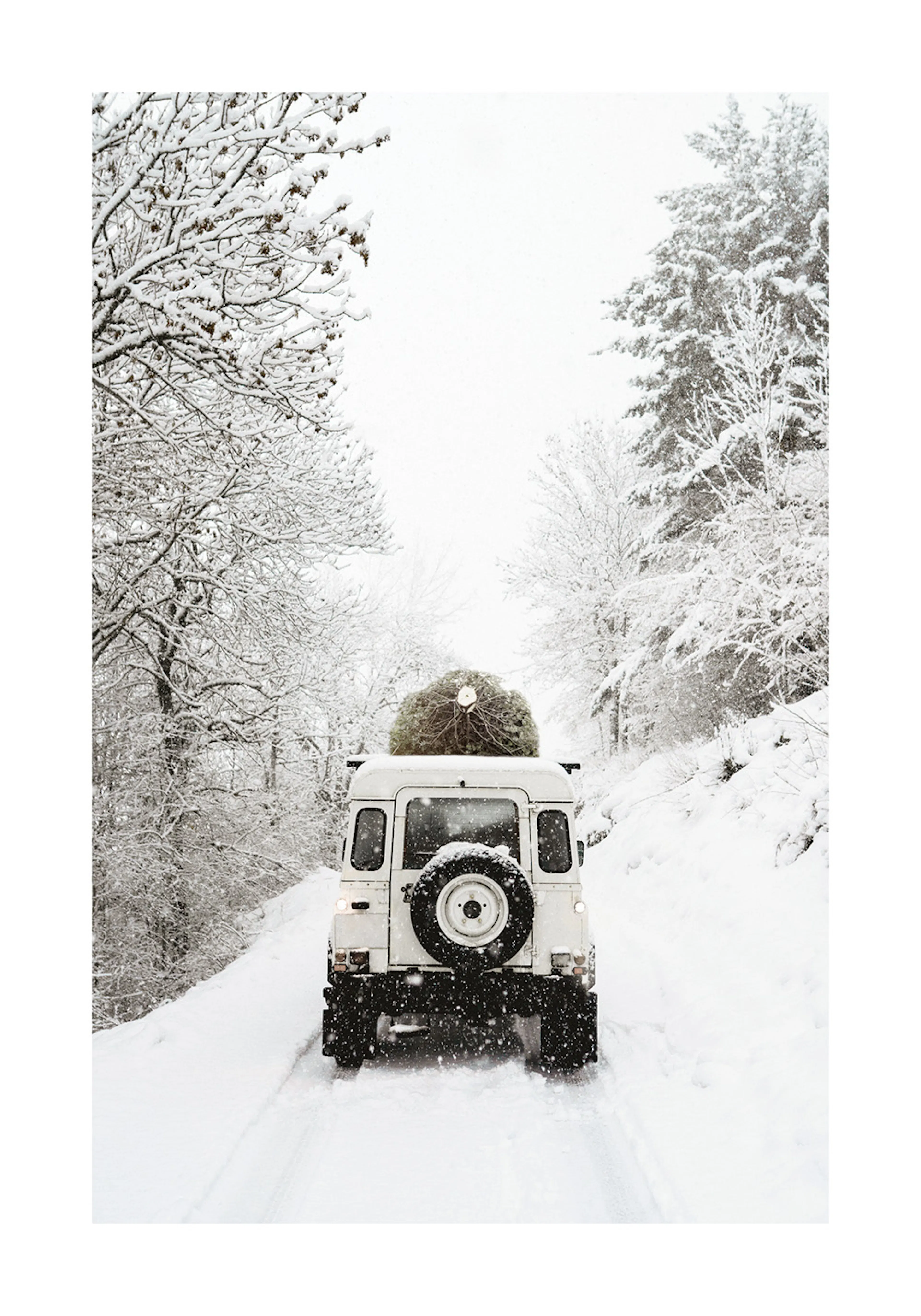 Affiche dune voiture blanche avec un sapin de Noël sur le toit, traversant un paysage enneigé. Typographie Holiday Delivery.