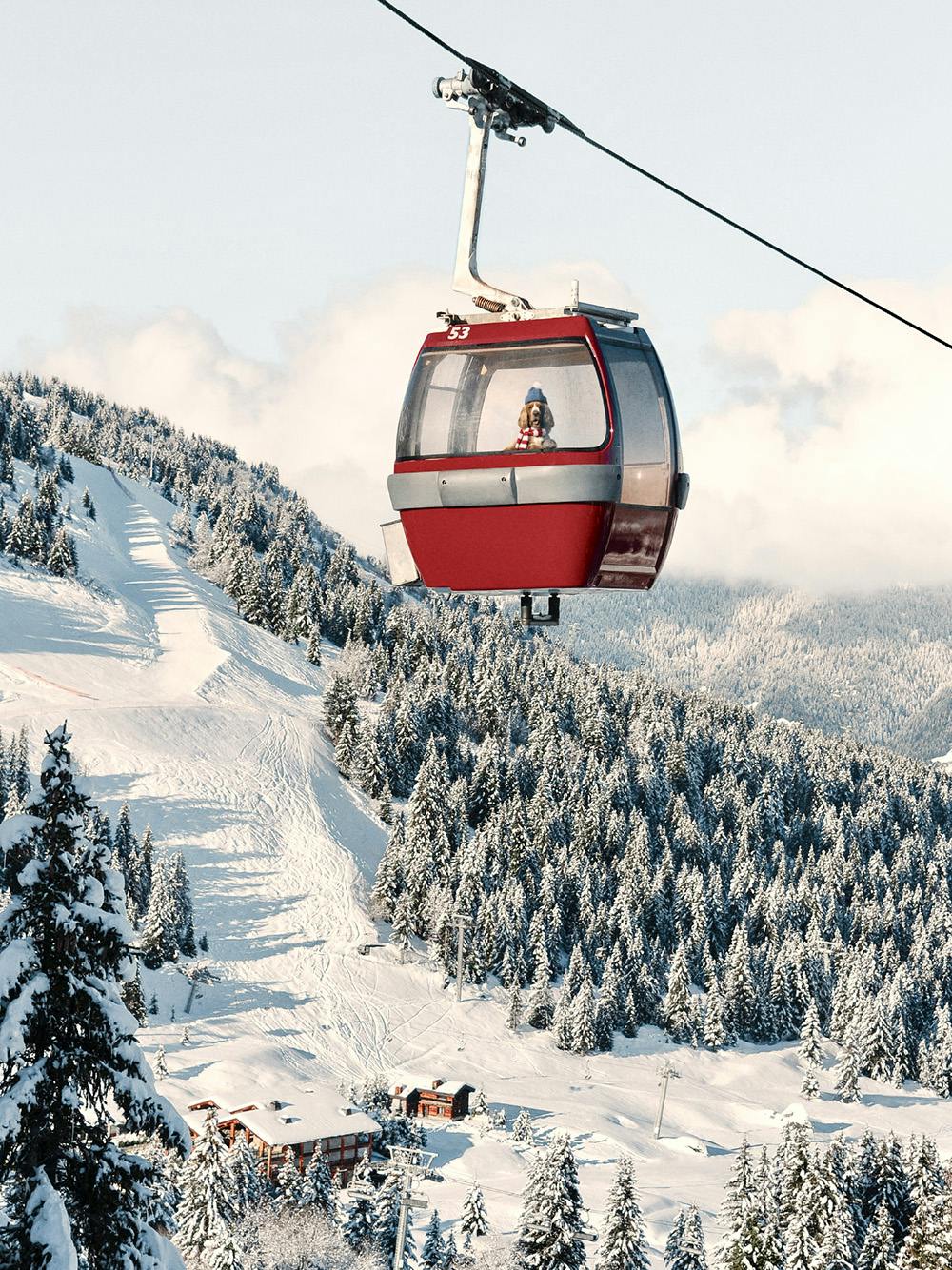 In the Gondola Print 0