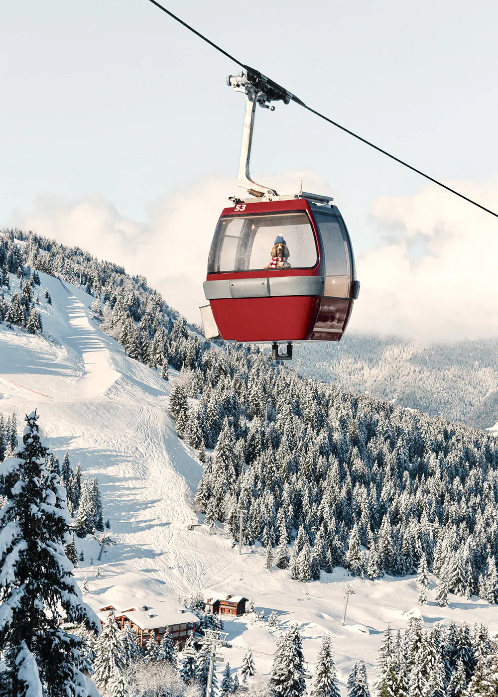 Alpine Spirit Print alpine-spirit-print