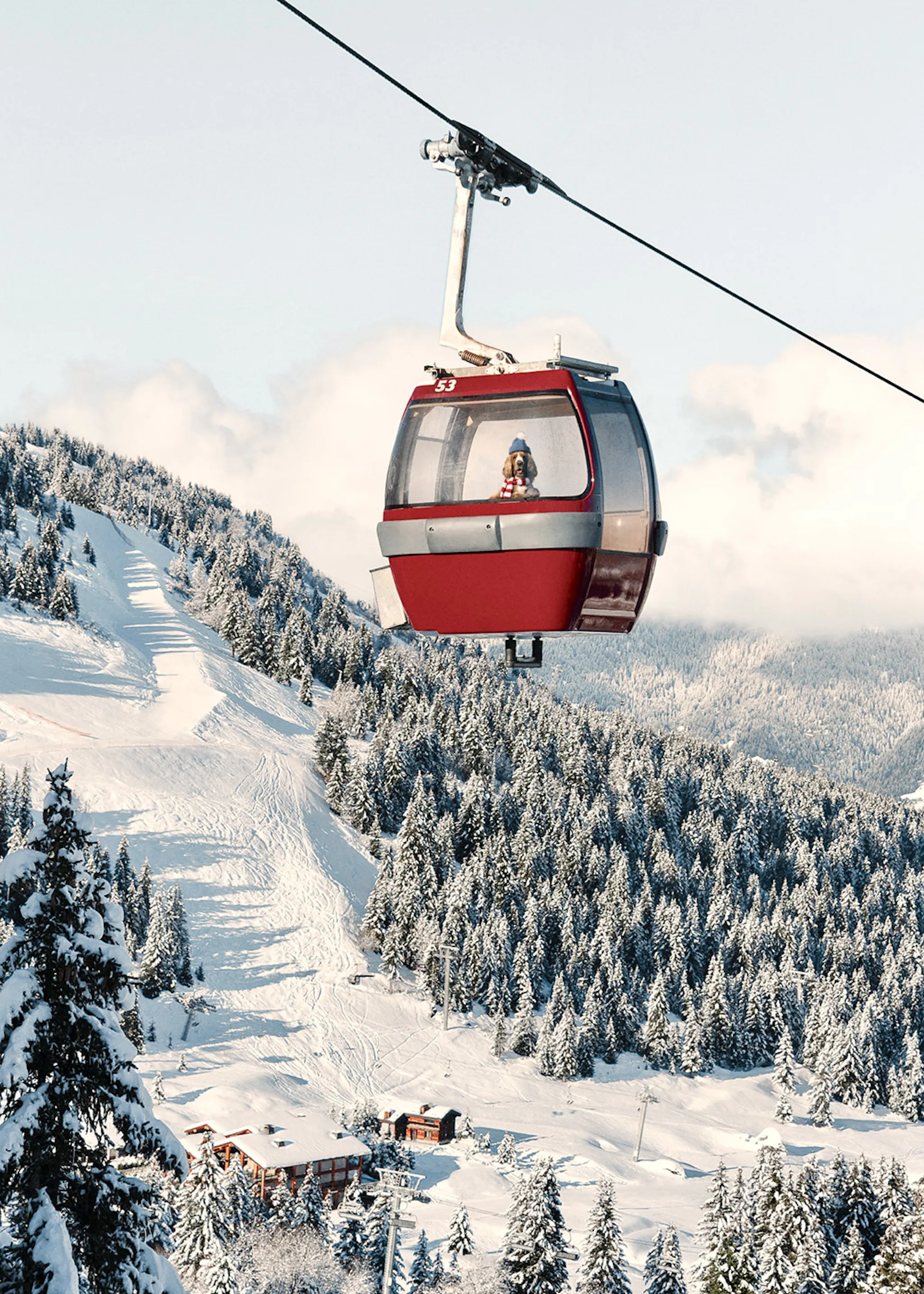 alpine-spirit-print