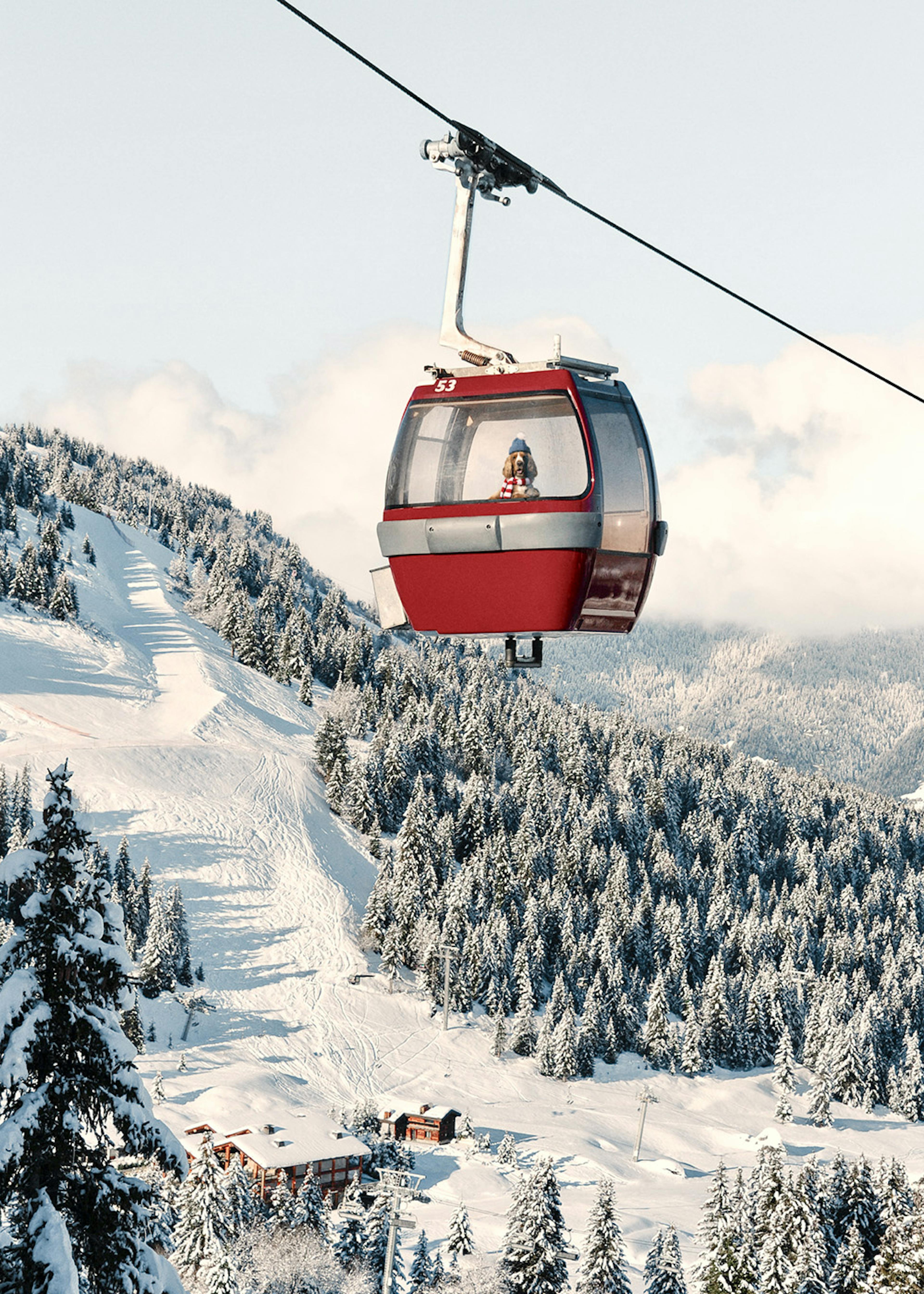 In the Gondola Poster 0